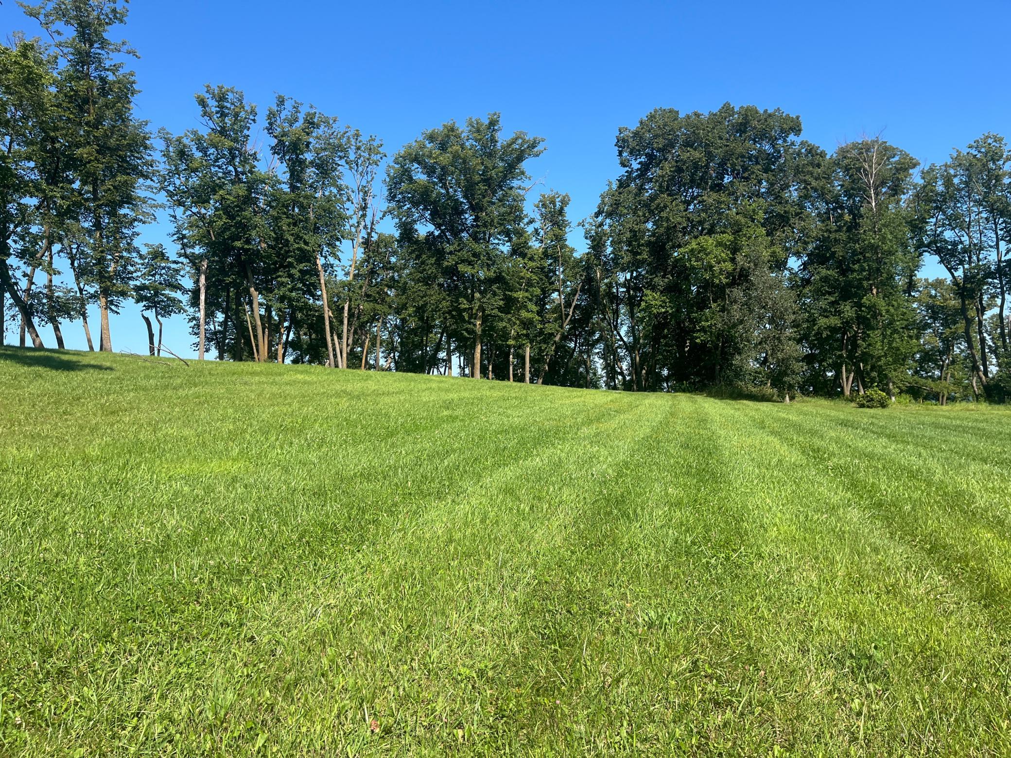 land for sale at 00000 Coleman Rd in Clitherall, MN (photo 16 of 19)