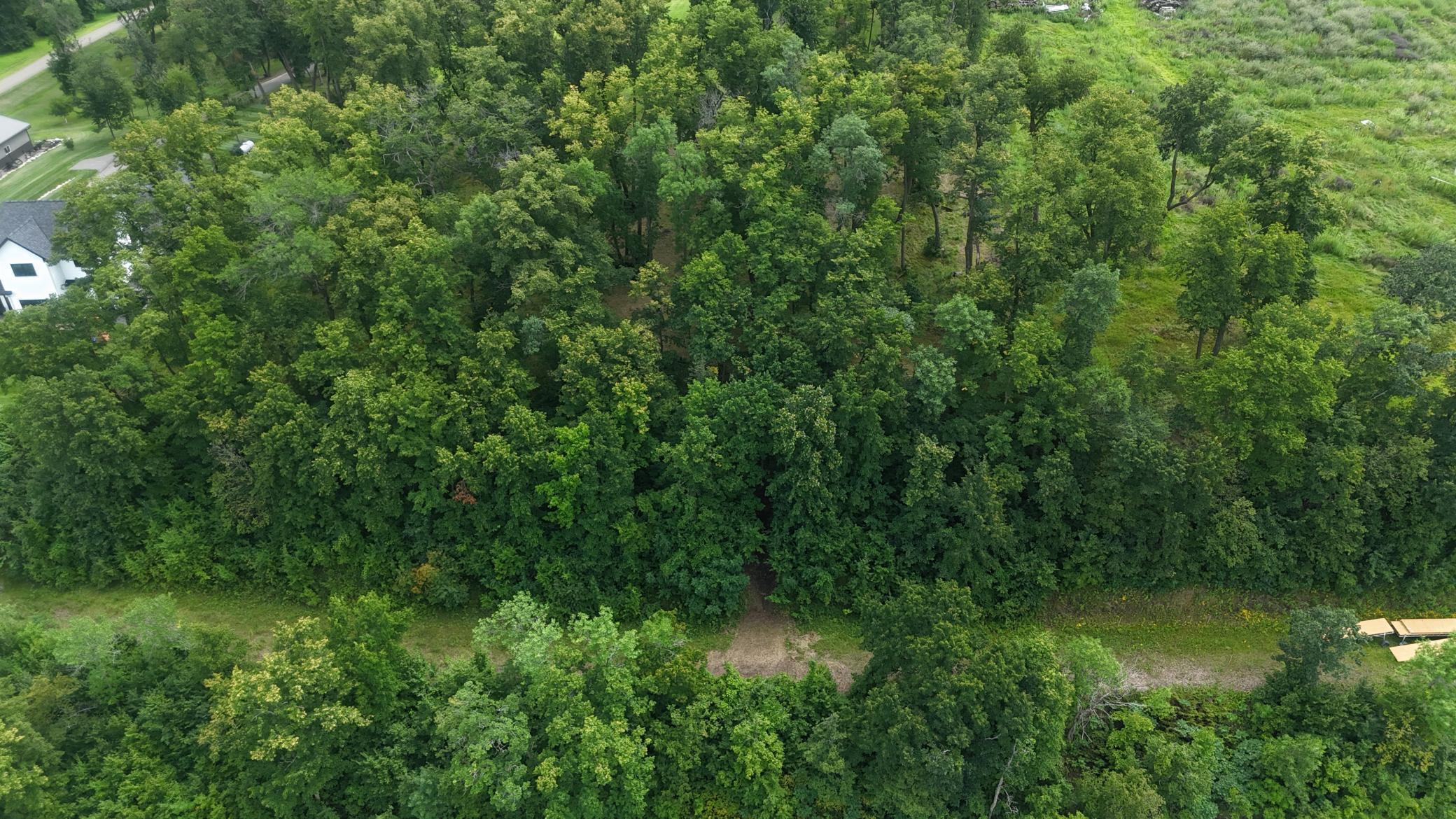 land for sale at 00000 Coleman Rd in Clitherall, MN (photo 7 of 19)