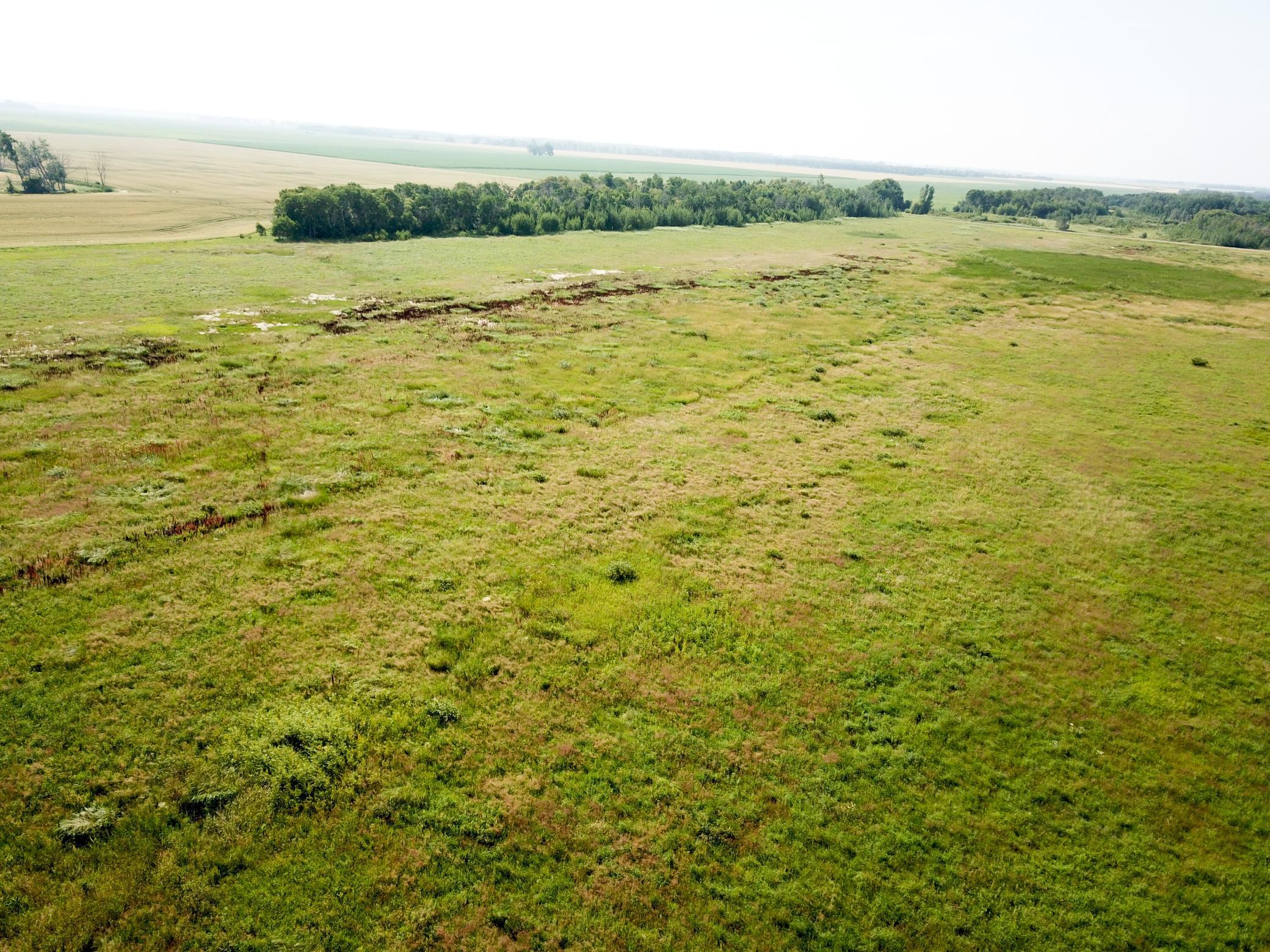 land for sale at TBD HWY 10 in Thief River Falls, MN (photo 14 of 62)
