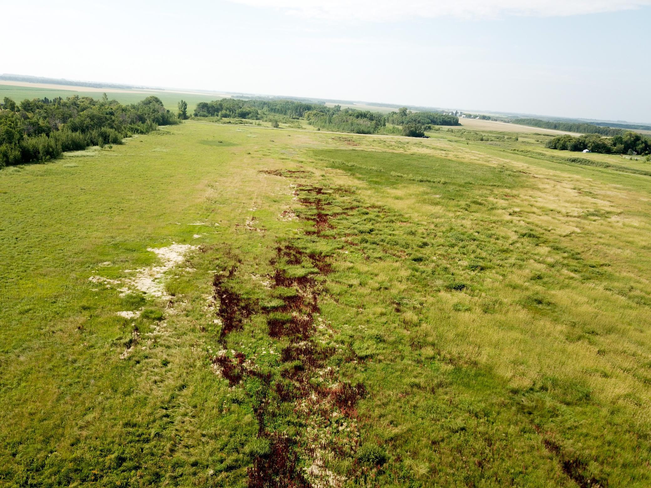 land for sale at TBD HWY 10 in Thief River Falls, MN (photo 15 of 62)