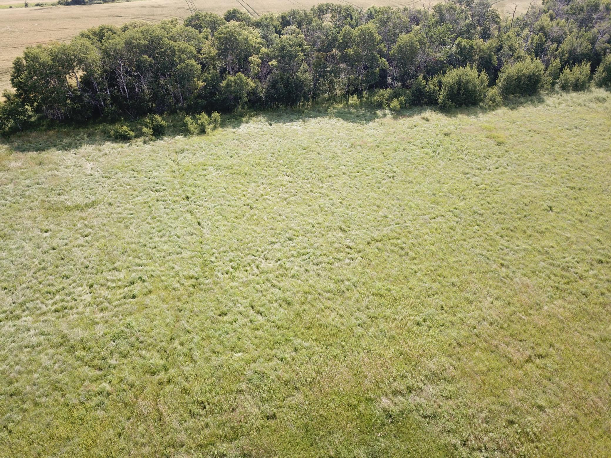 land for sale at TBD HWY 10 in Thief River Falls, MN (photo 16 of 62)