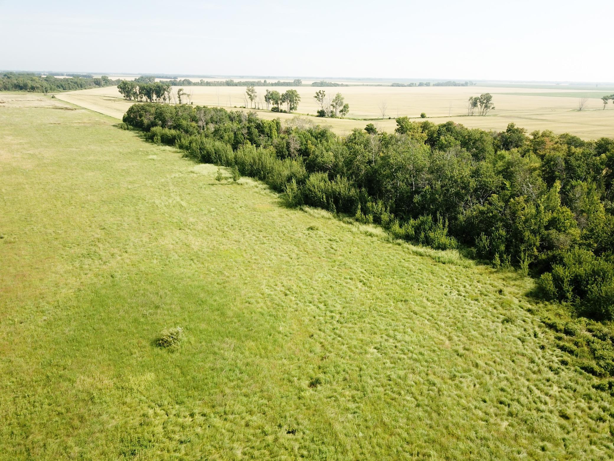 land for sale at TBD HWY 10 in Thief River Falls, MN (photo 17 of 62)