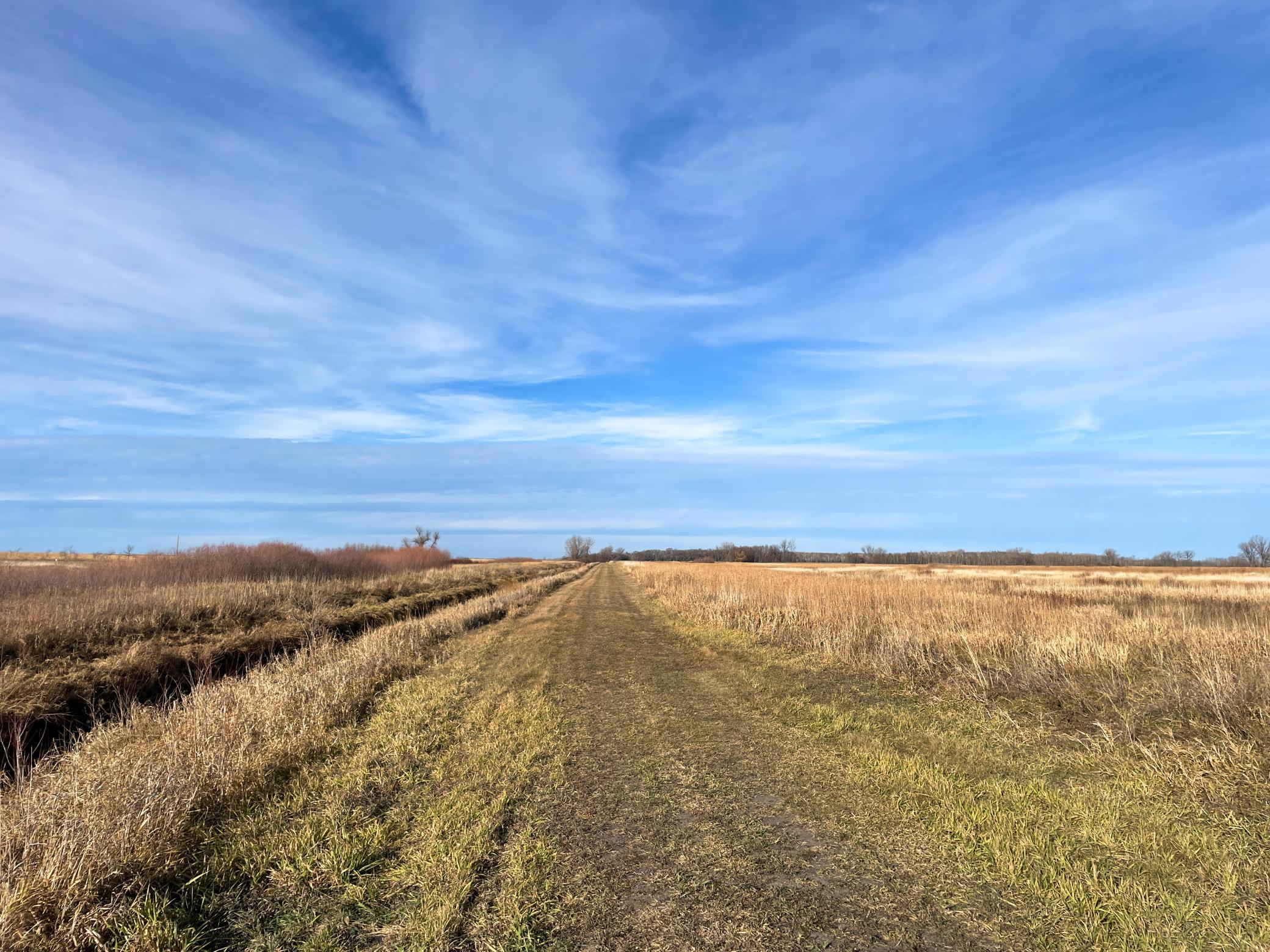 land for sale at TBD HWY 10 in Thief River Falls, MN (photo 21 of 62)