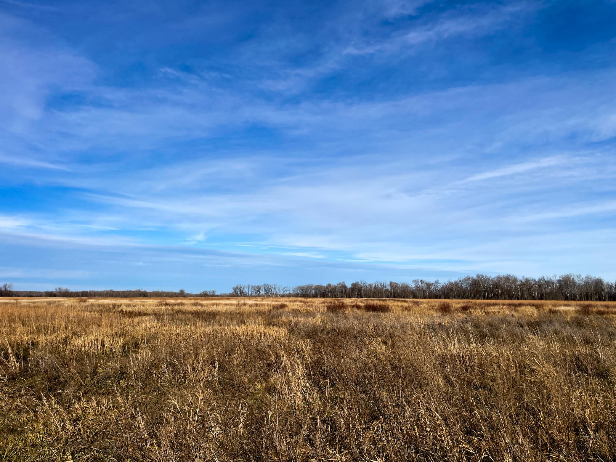 land for sale at TBD HWY 10 in Thief River Falls, MN (photo 23 of 62)