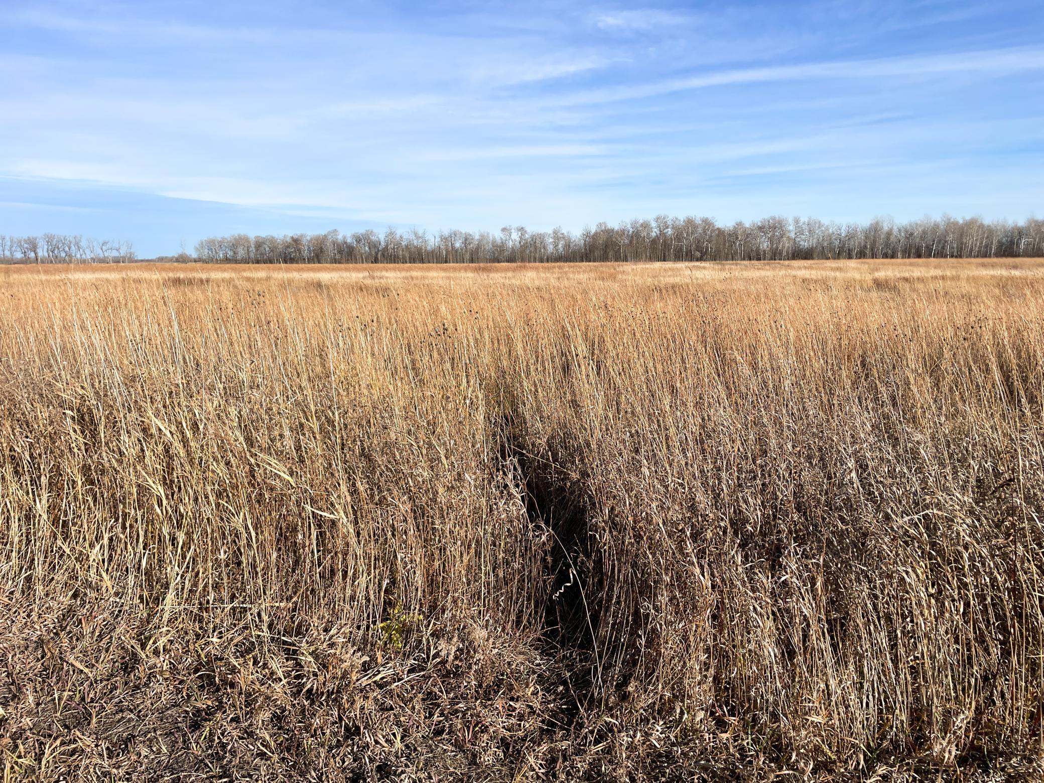 land for sale at TBD HWY 10 in Thief River Falls, MN (photo 24 of 62)