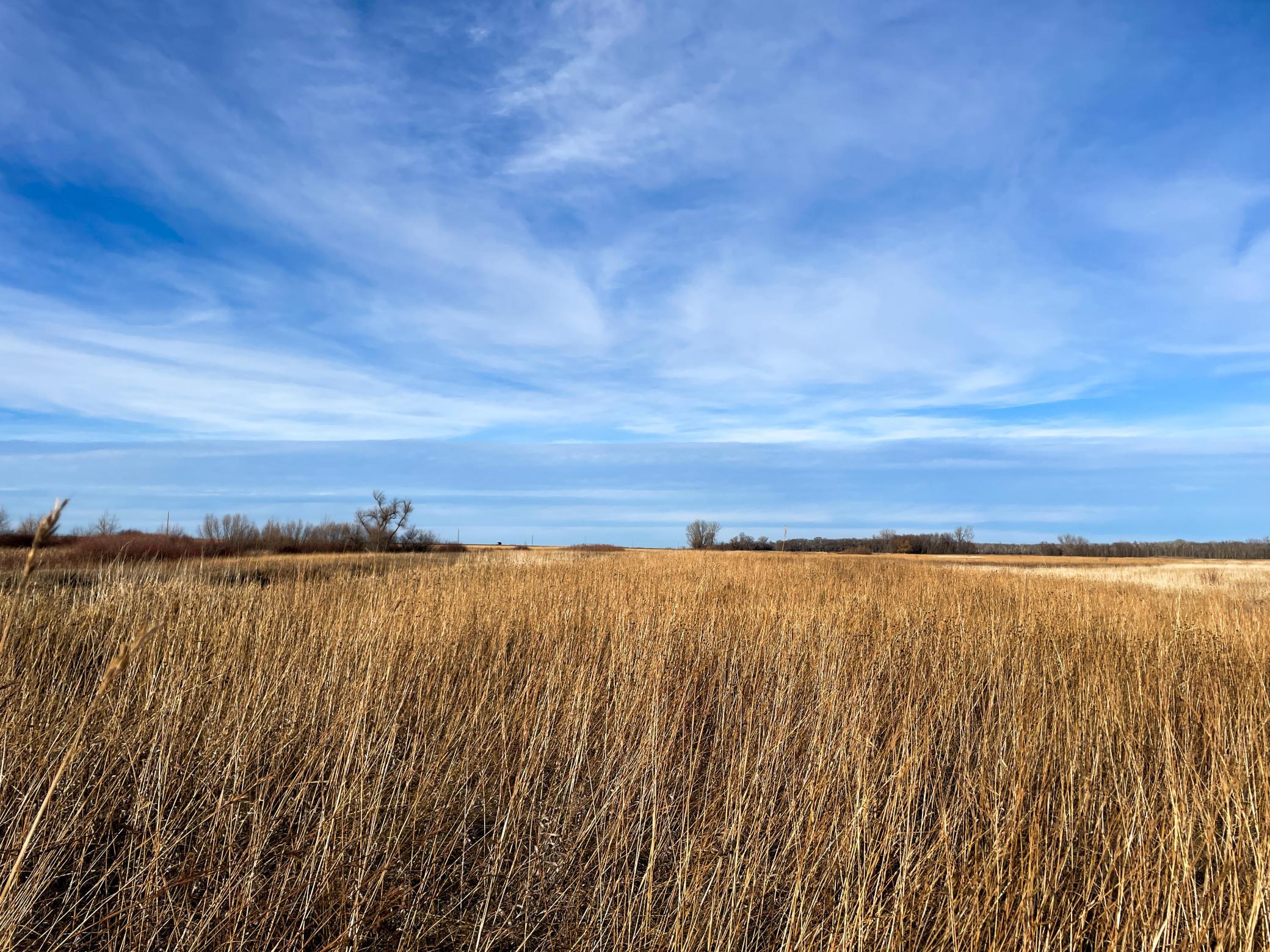 land for sale at TBD HWY 10 in Thief River Falls, MN (photo 25 of 62)