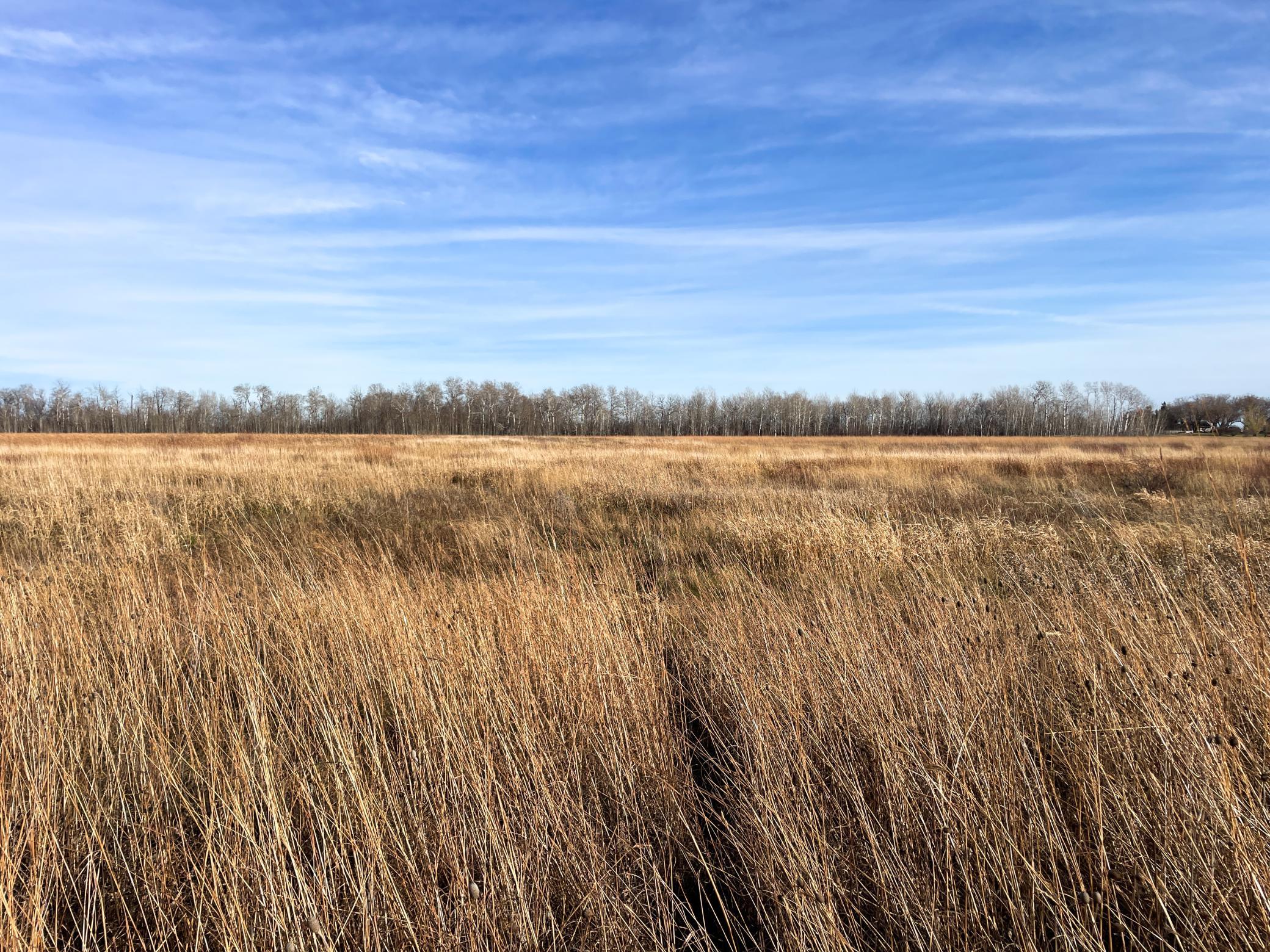 land for sale at TBD HWY 10 in Thief River Falls, MN (photo 26 of 62)