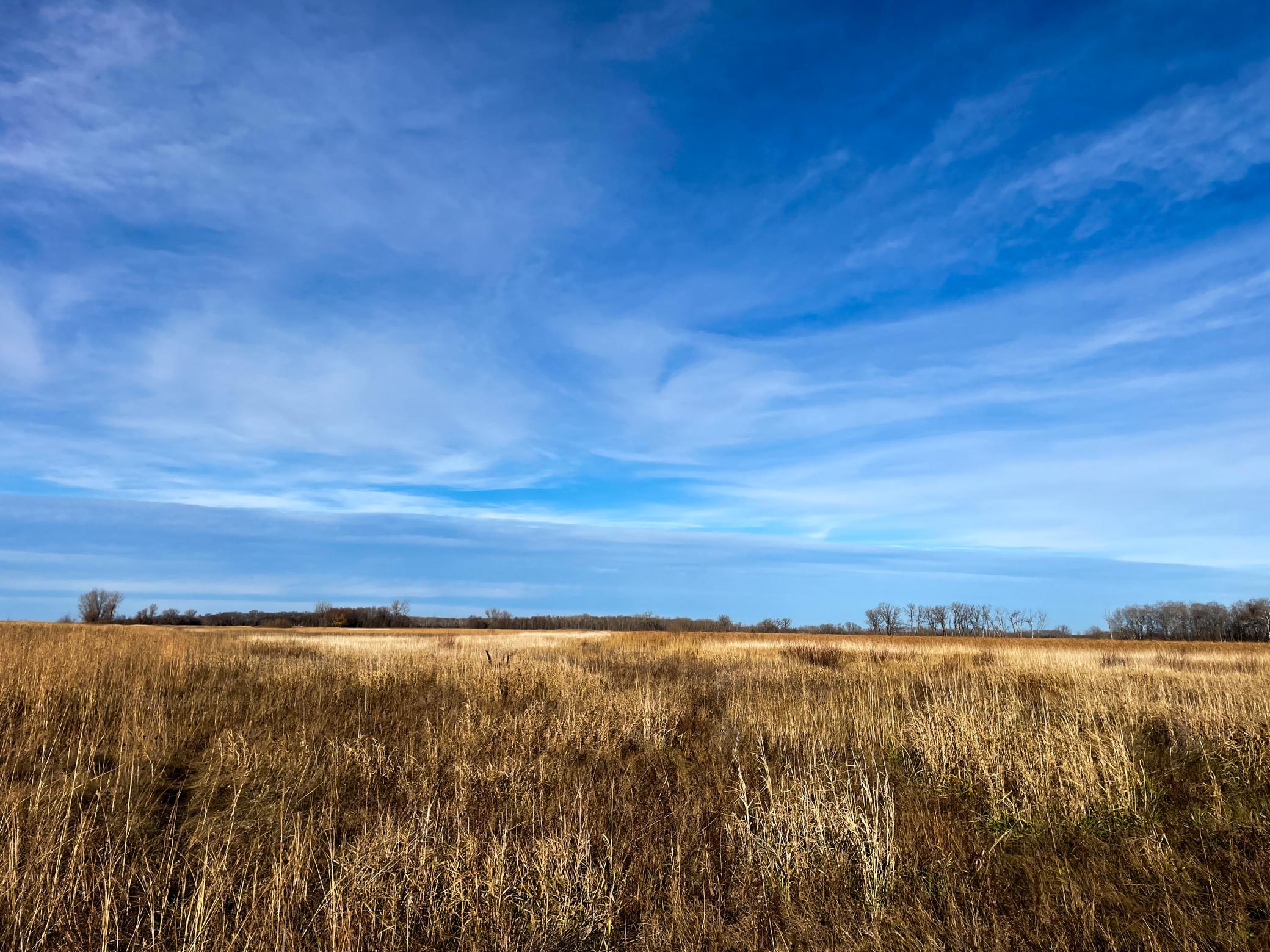land for sale at TBD HWY 10 in Thief River Falls, MN (photo 27 of 62)