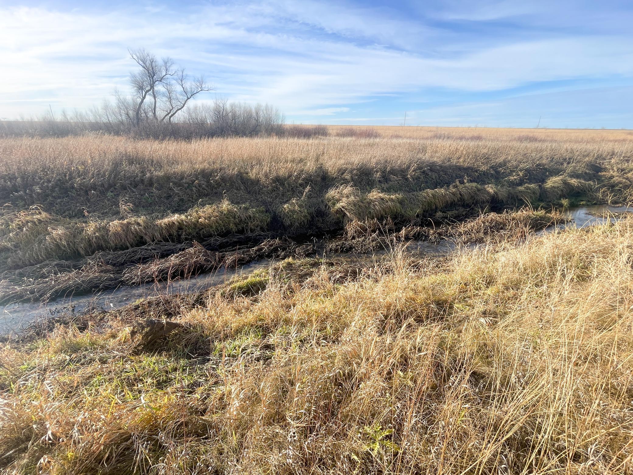land for sale at TBD HWY 10 in Thief River Falls, MN (photo 29 of 62)