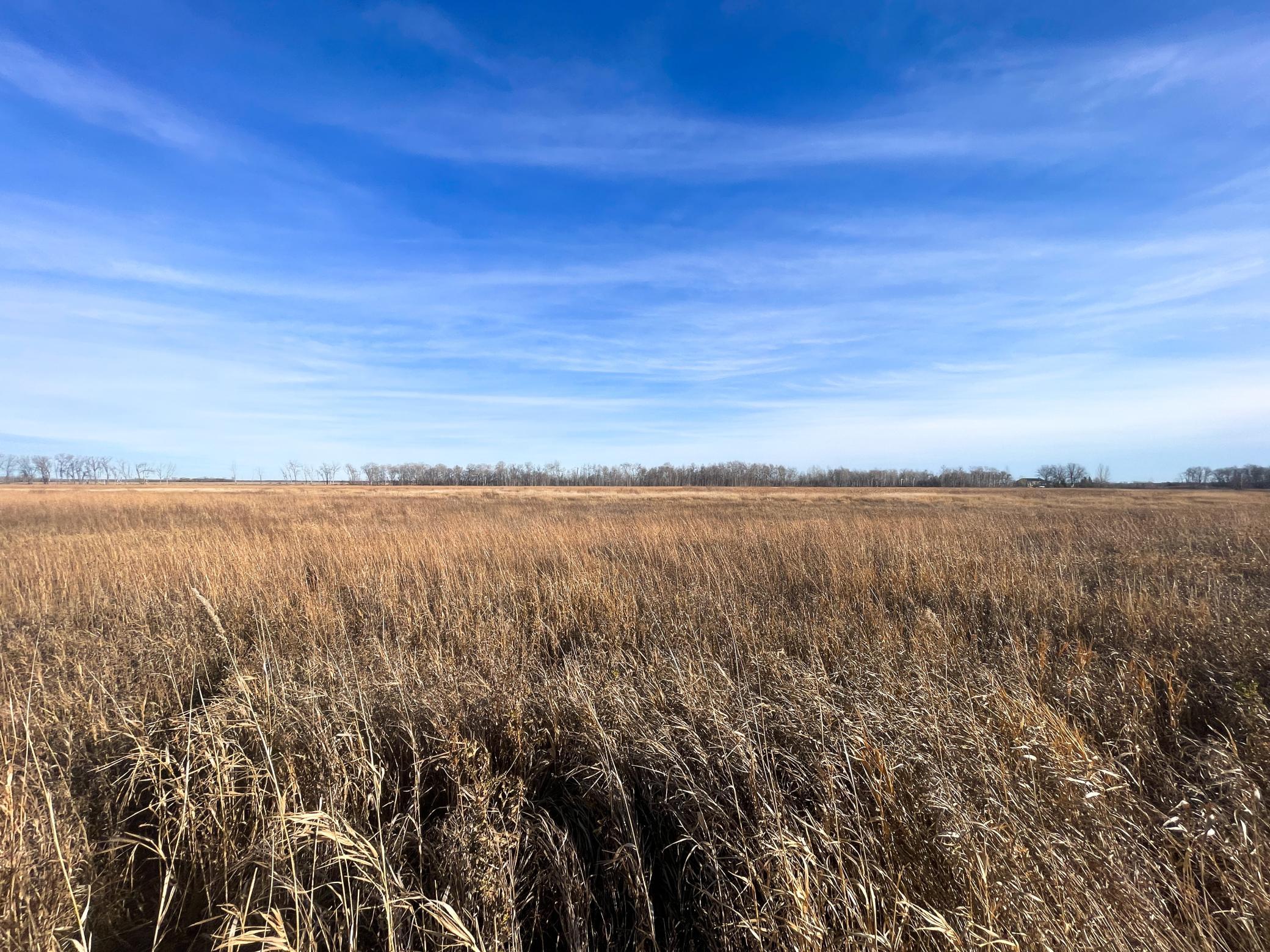 land for sale at TBD HWY 10 in Thief River Falls, MN (photo 31 of 62)