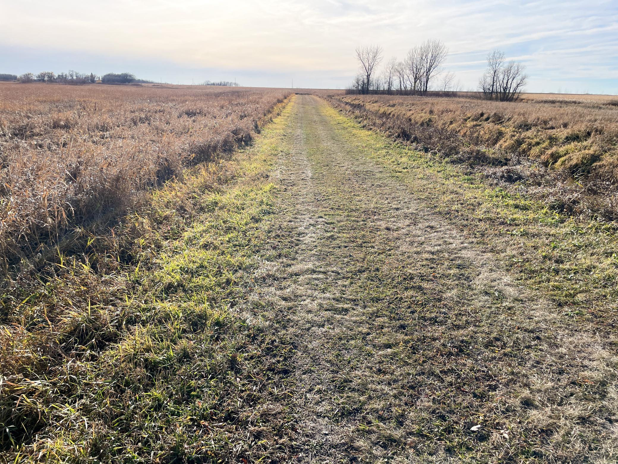 land for sale at TBD HWY 10 in Thief River Falls, MN (photo 33 of 62)