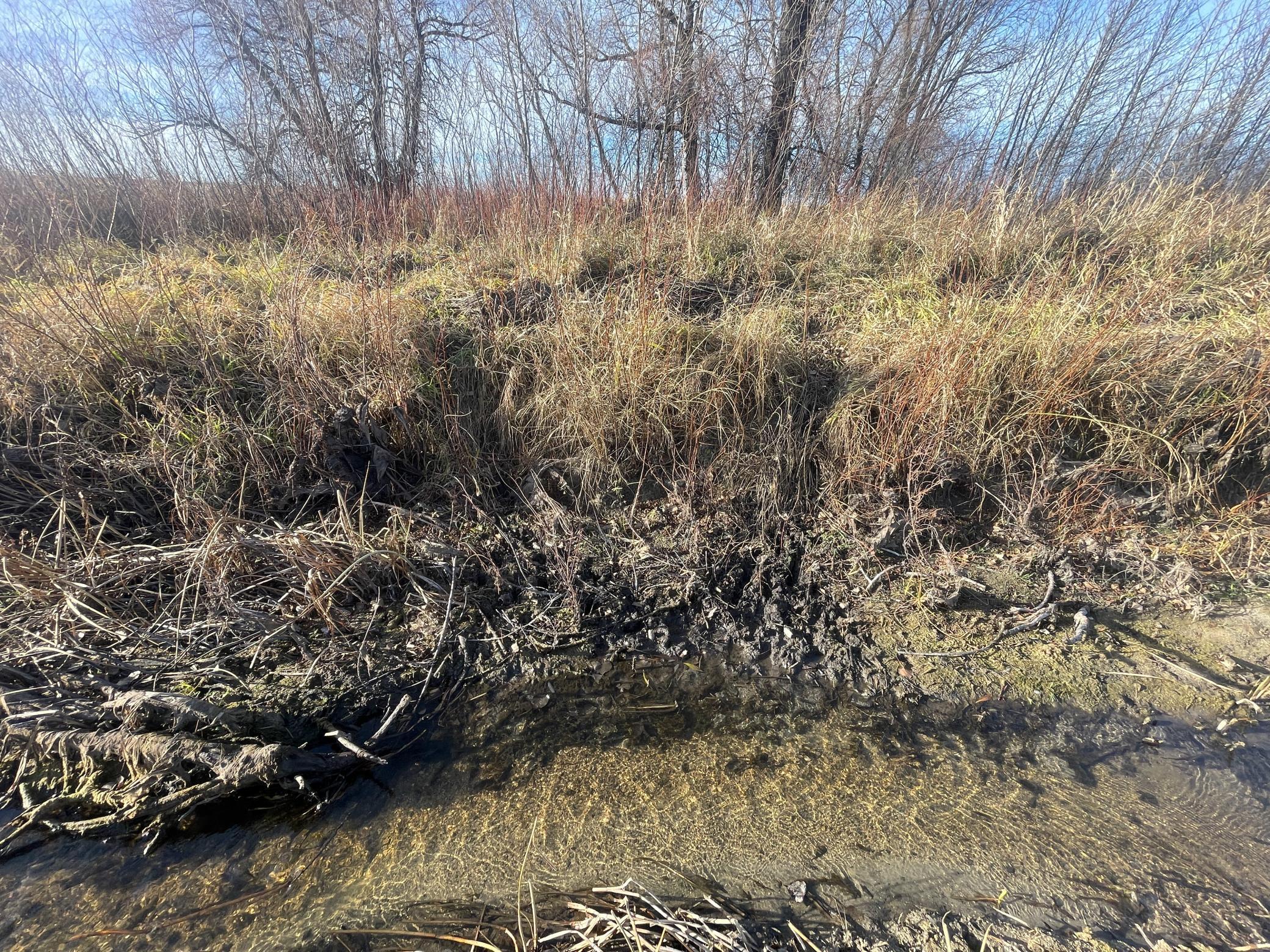 land for sale at TBD HWY 10 in Thief River Falls, MN (photo 34 of 62)