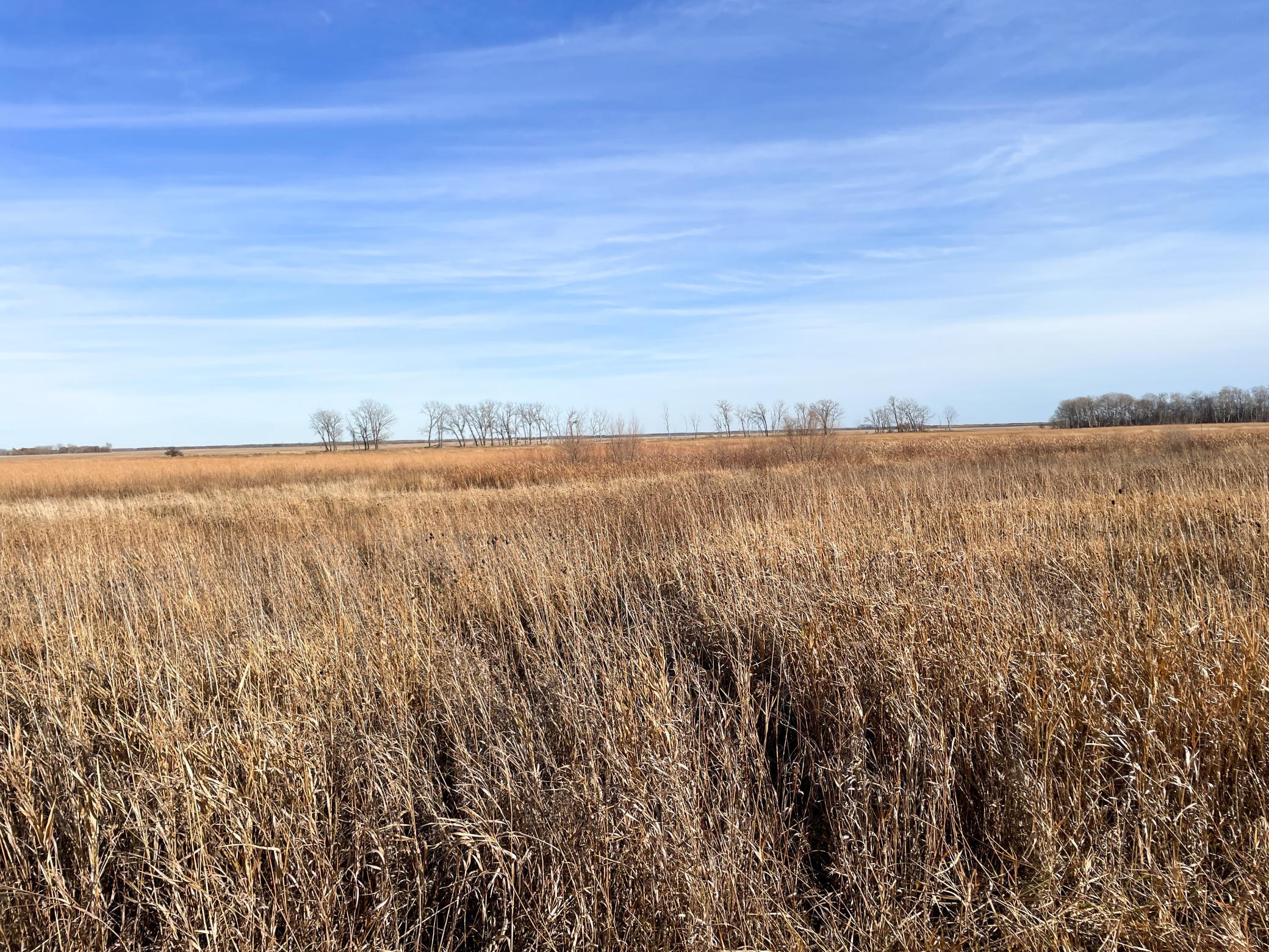 land for sale at TBD HWY 10 in Thief River Falls, MN (photo 36 of 62)