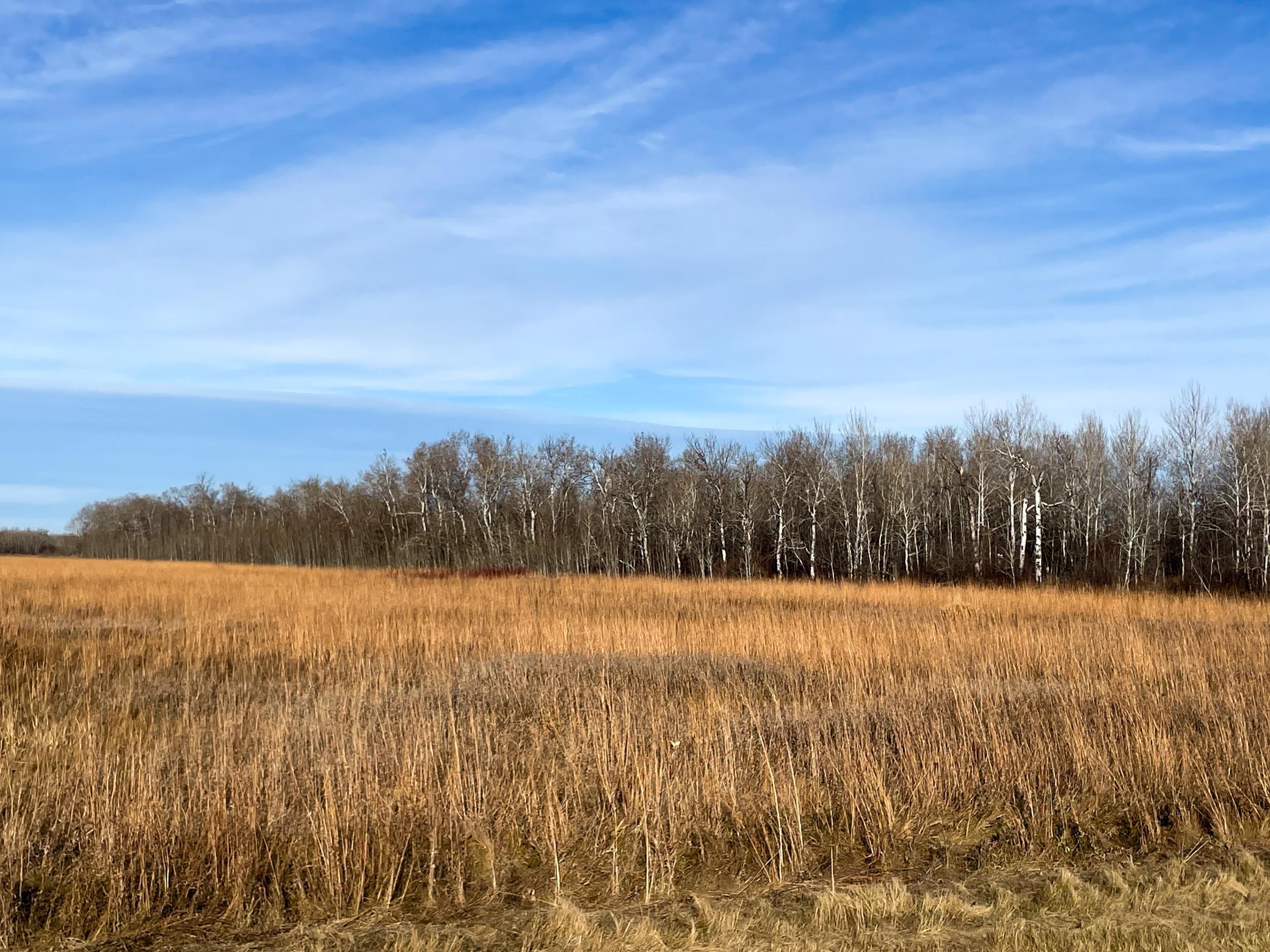 land for sale at TBD HWY 10 in Thief River Falls, MN (photo 37 of 62)