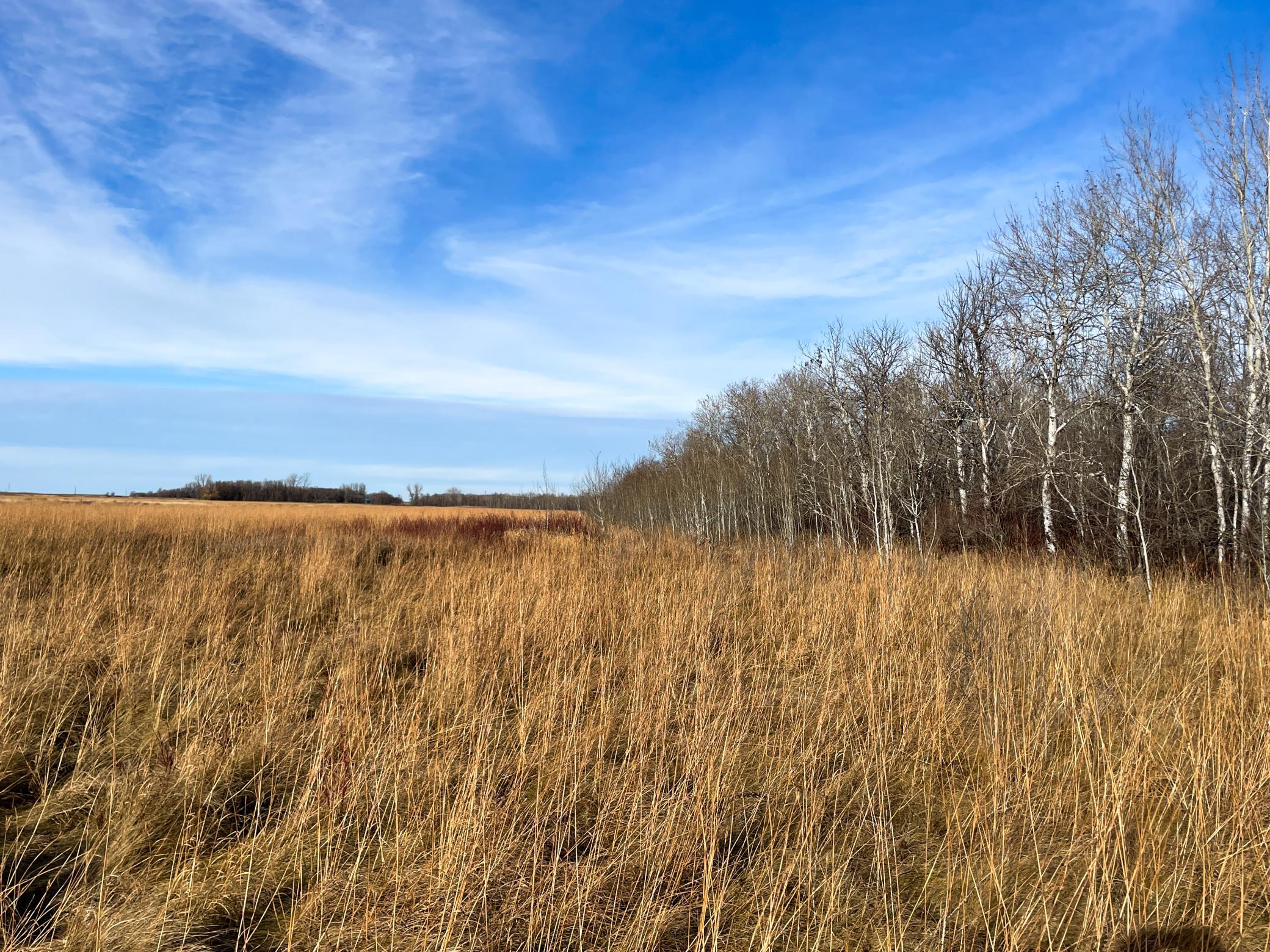land for sale at TBD HWY 10 in Thief River Falls, MN (photo 40 of 62)