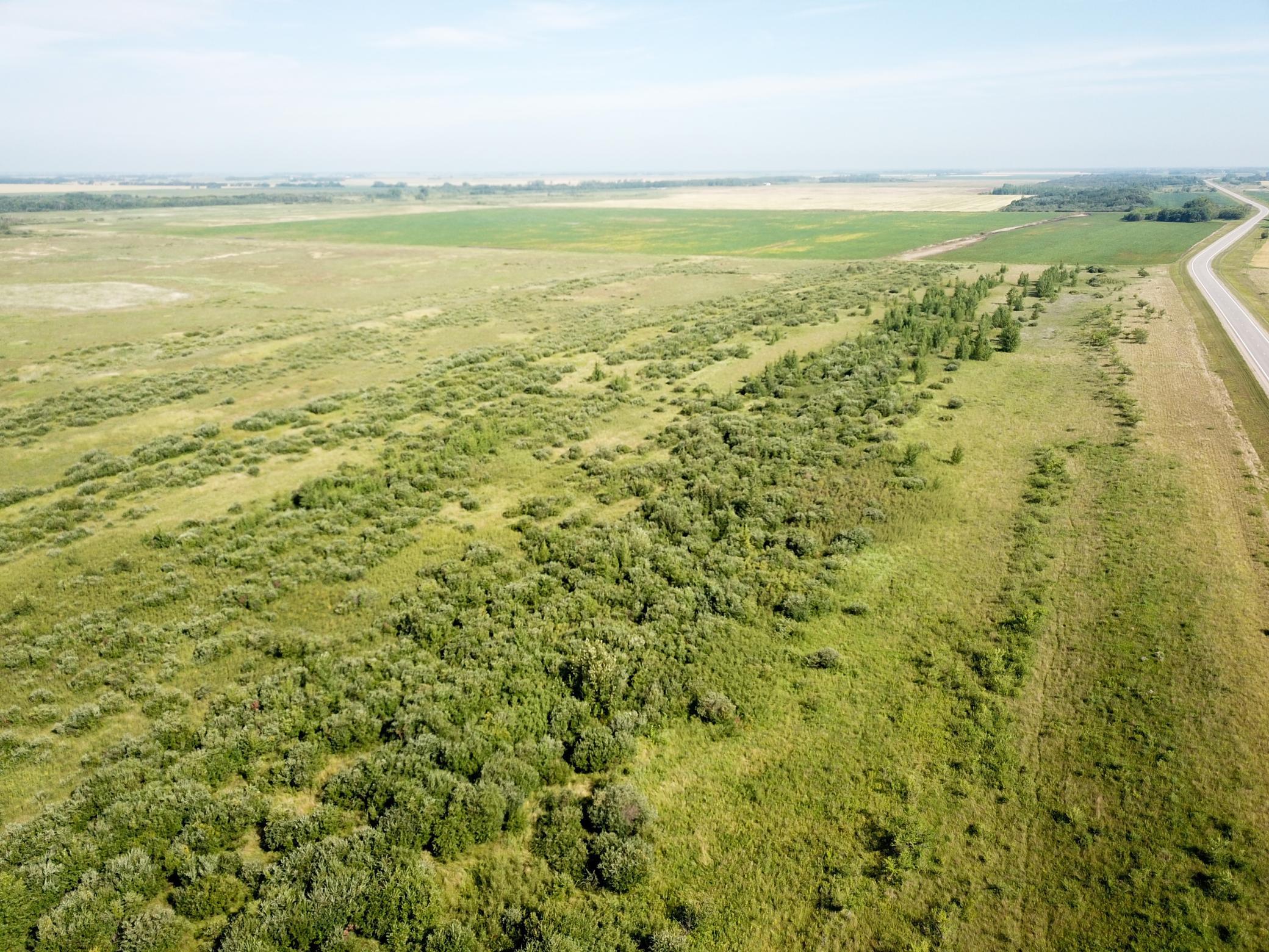 land for sale at TBD HWY 10 in Thief River Falls, MN (photo 5 of 62)