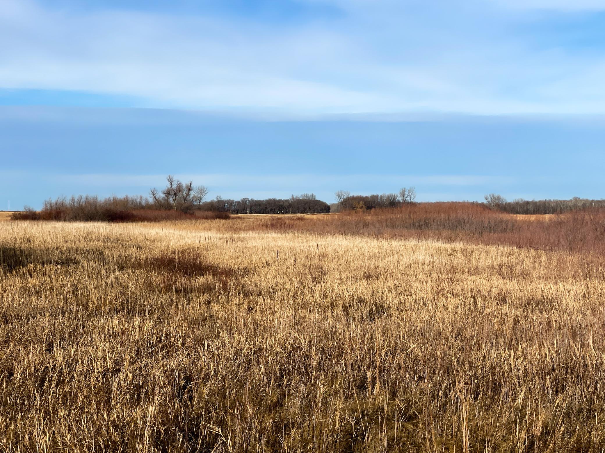 land for sale at TBD HWY 10 in Thief River Falls, MN (photo 42 of 62)