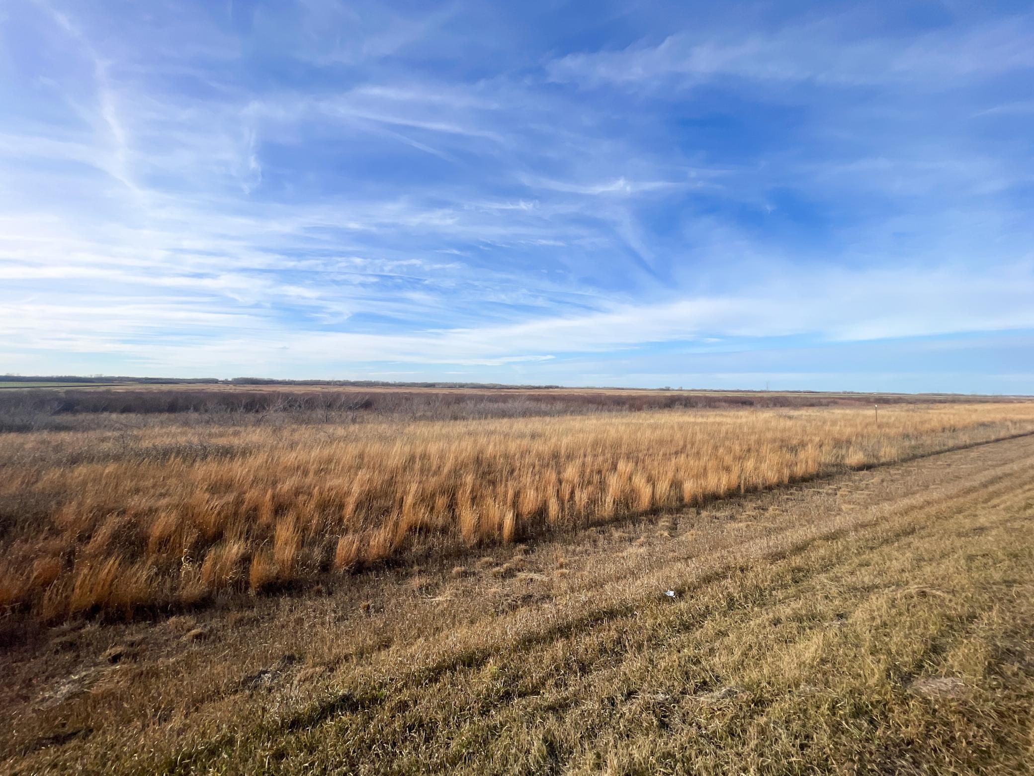 land for sale at TBD HWY 10 in Thief River Falls, MN (photo 44 of 62)