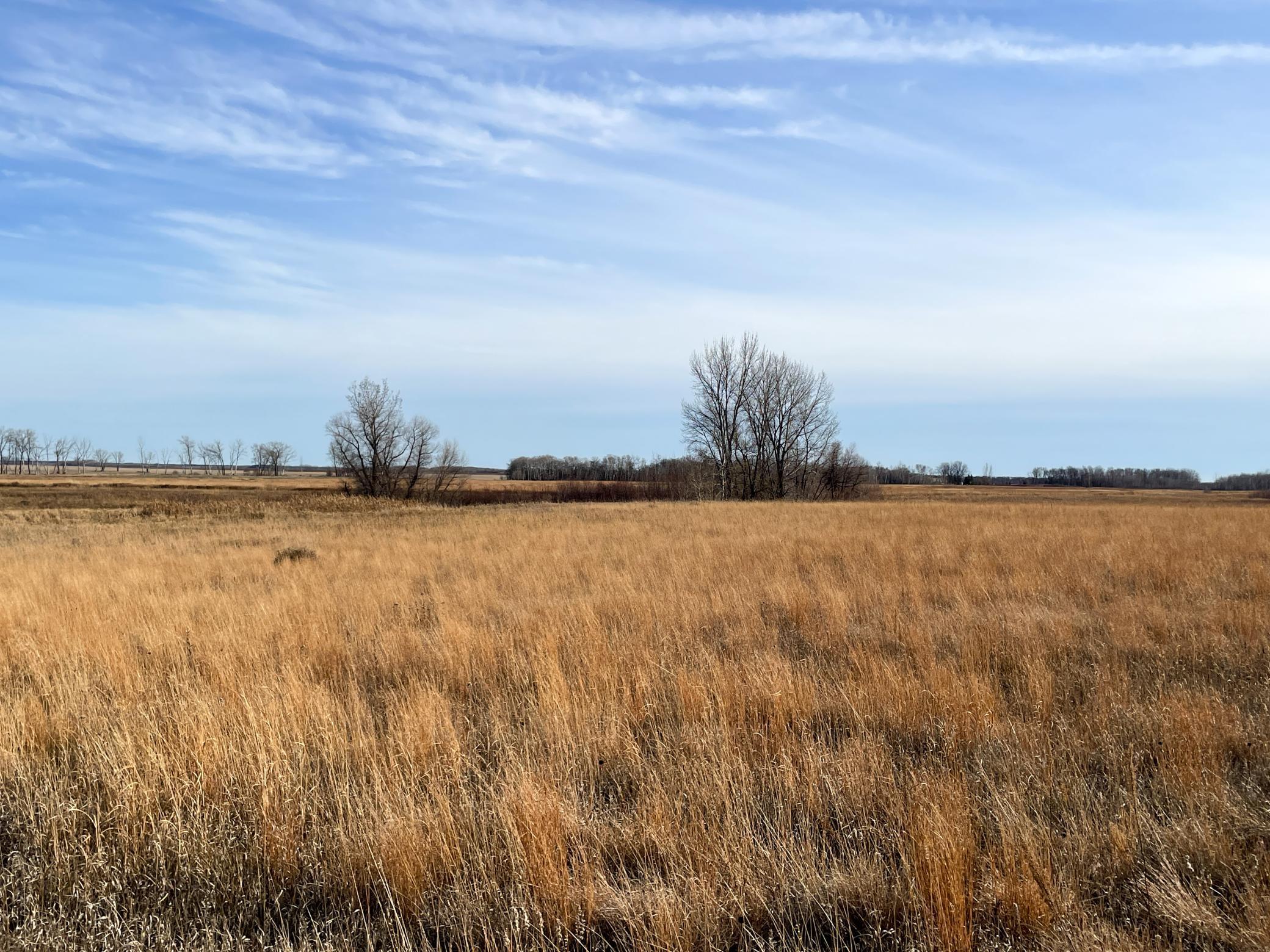land for sale at TBD HWY 10 in Thief River Falls, MN (photo 48 of 62)