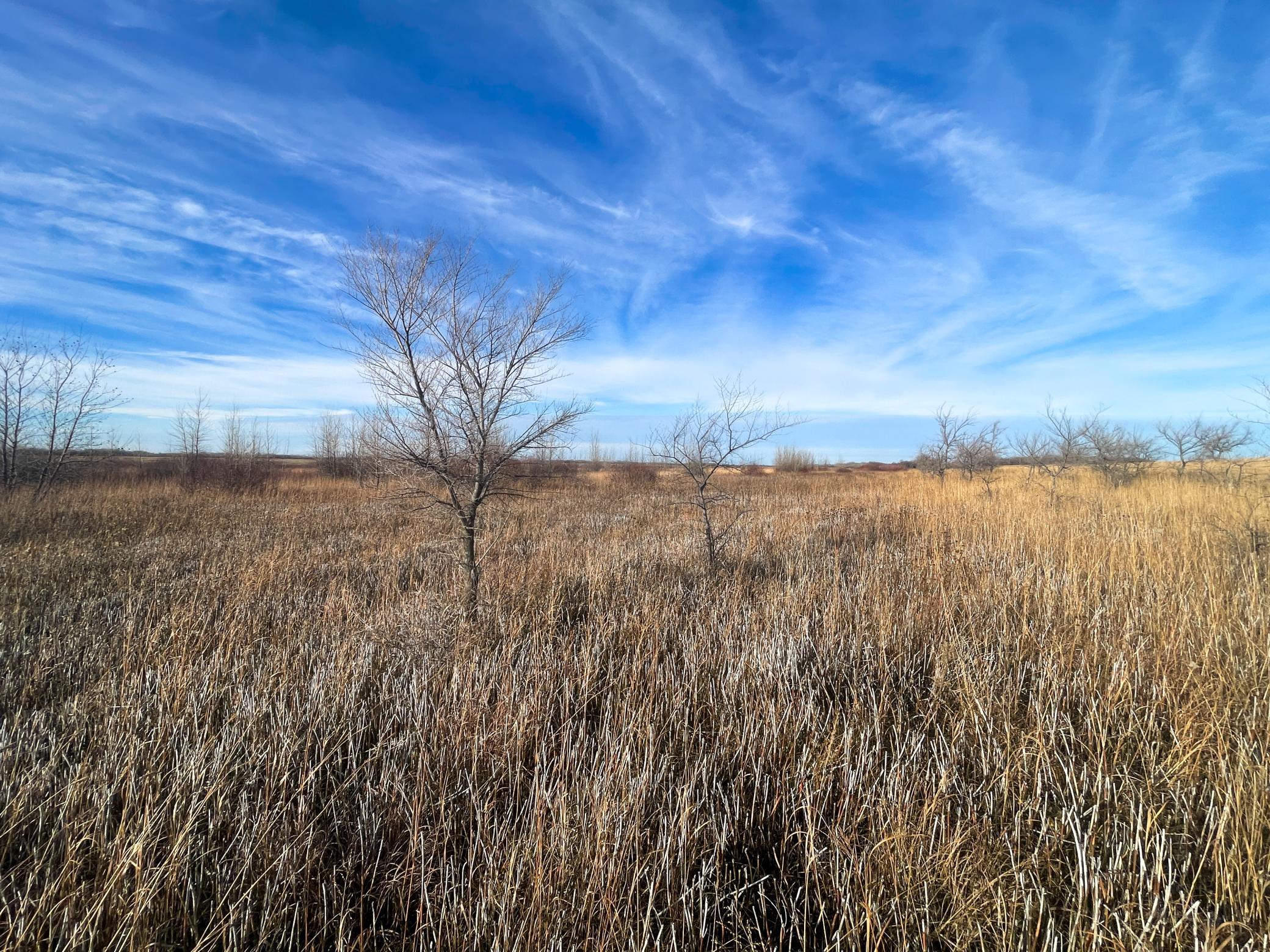 land for sale at TBD HWY 10 in Thief River Falls, MN (photo 49 of 62)