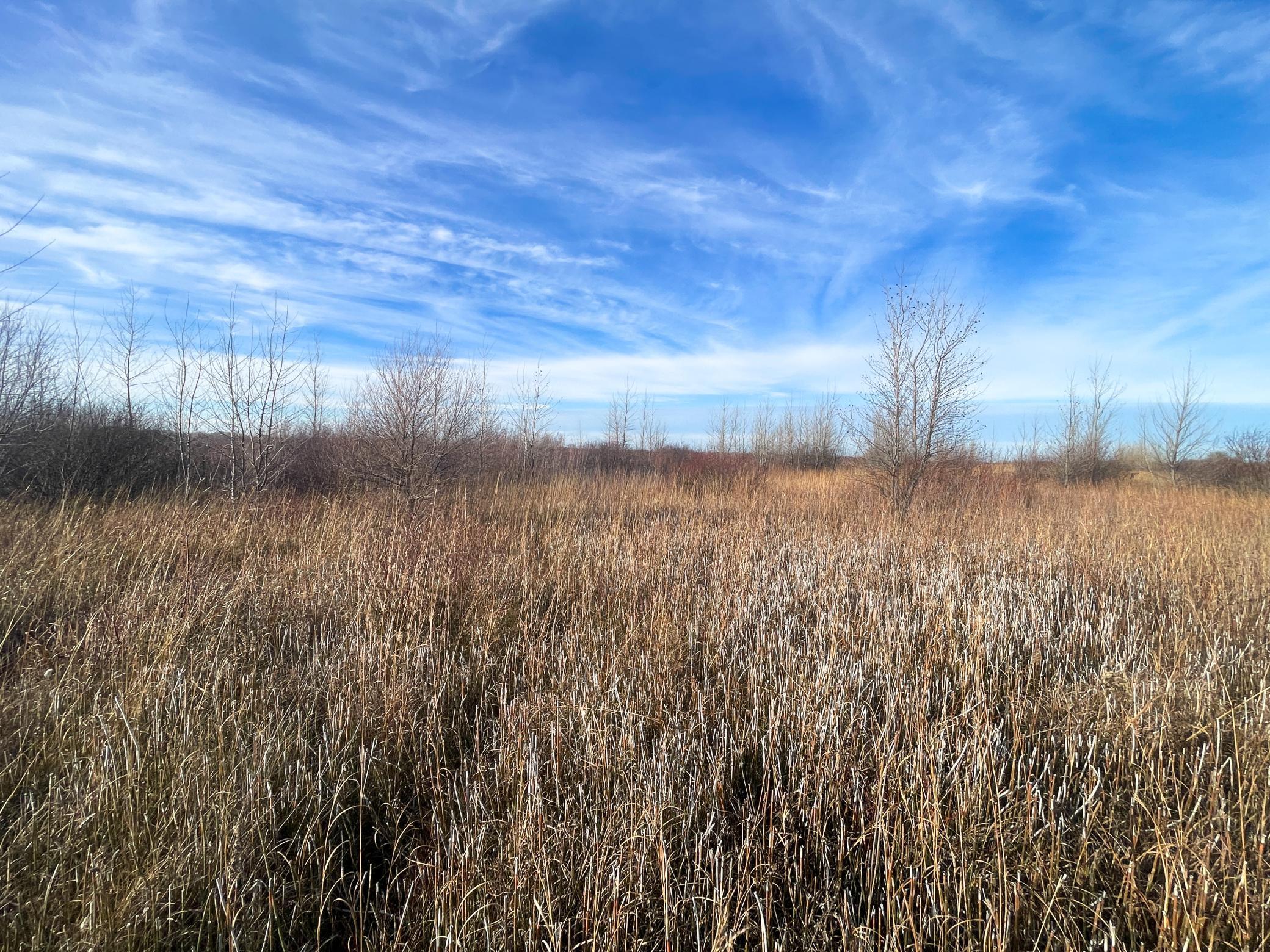 land for sale at TBD HWY 10 in Thief River Falls, MN (photo 50 of 62)