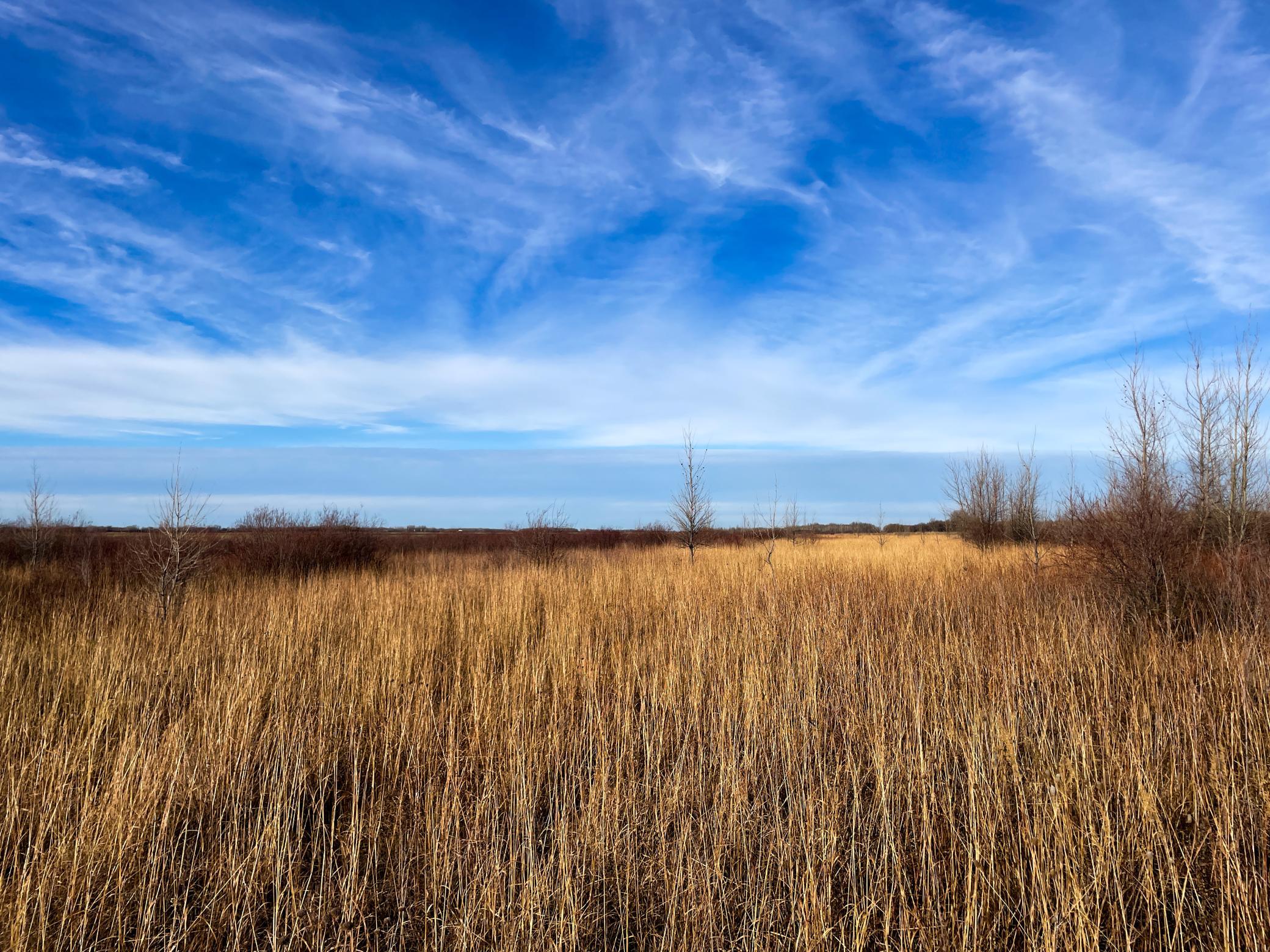 land for sale at TBD HWY 10 in Thief River Falls, MN (photo 51 of 62)
