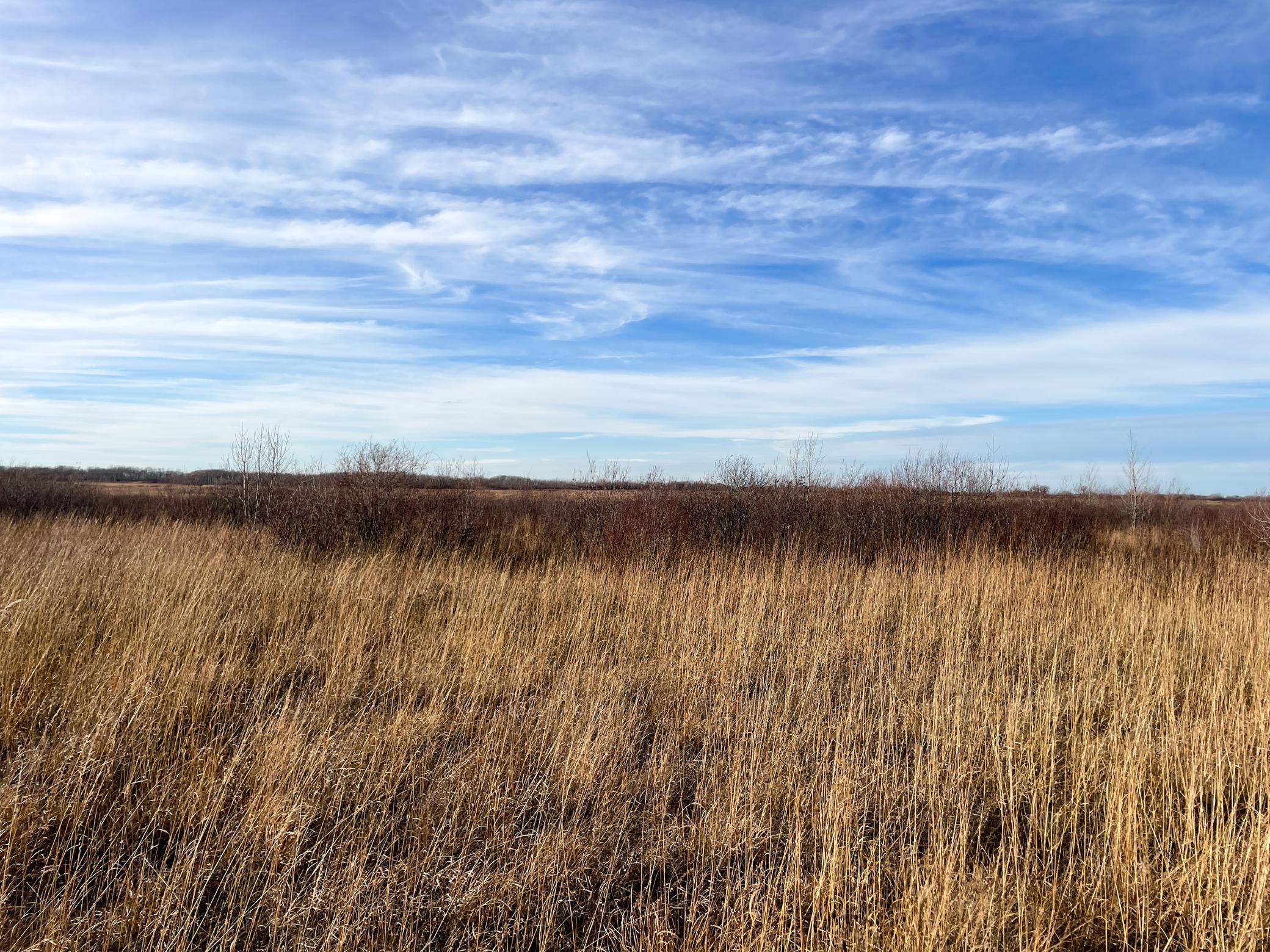 land for sale at TBD HWY 10 in Thief River Falls, MN (photo 52 of 62)