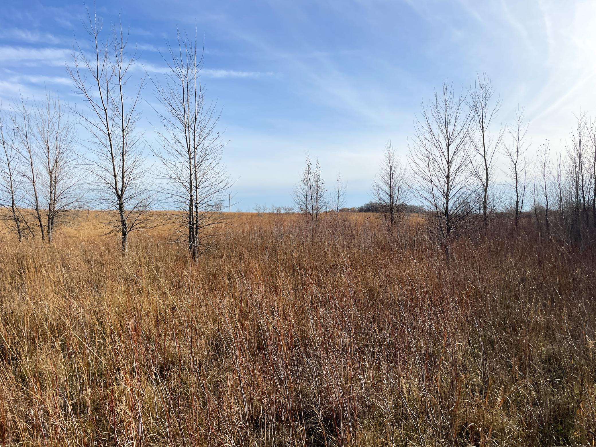 land for sale at TBD HWY 10 in Thief River Falls, MN (photo 53 of 62)