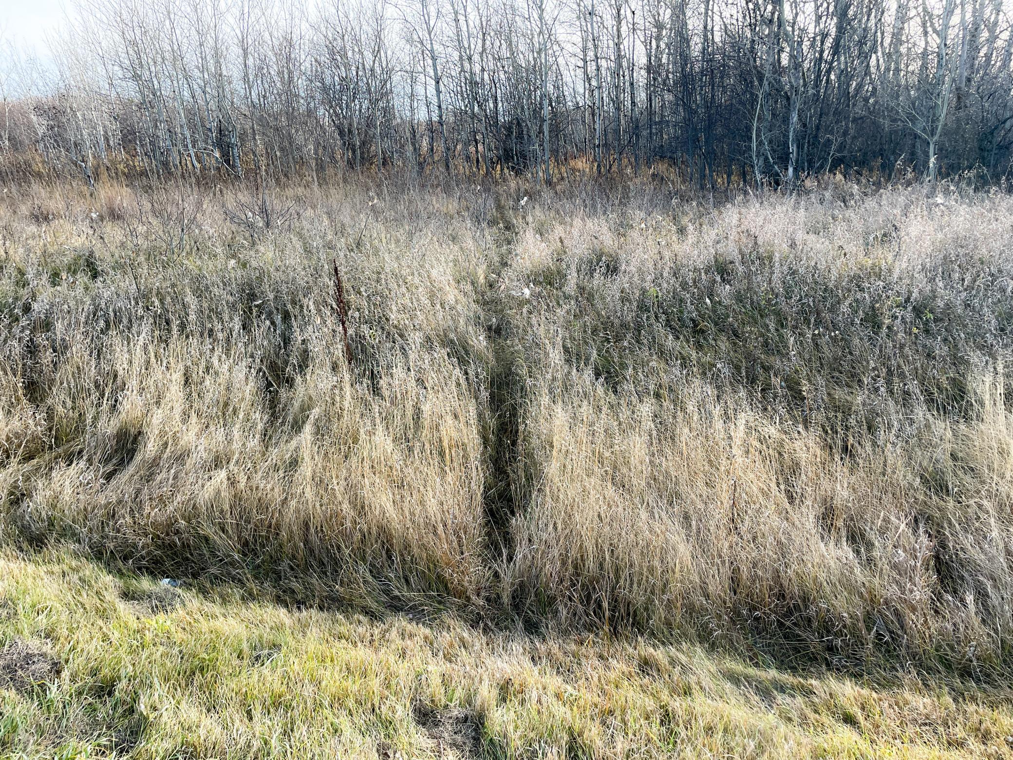 land for sale at TBD HWY 10 in Thief River Falls, MN (photo 55 of 62)