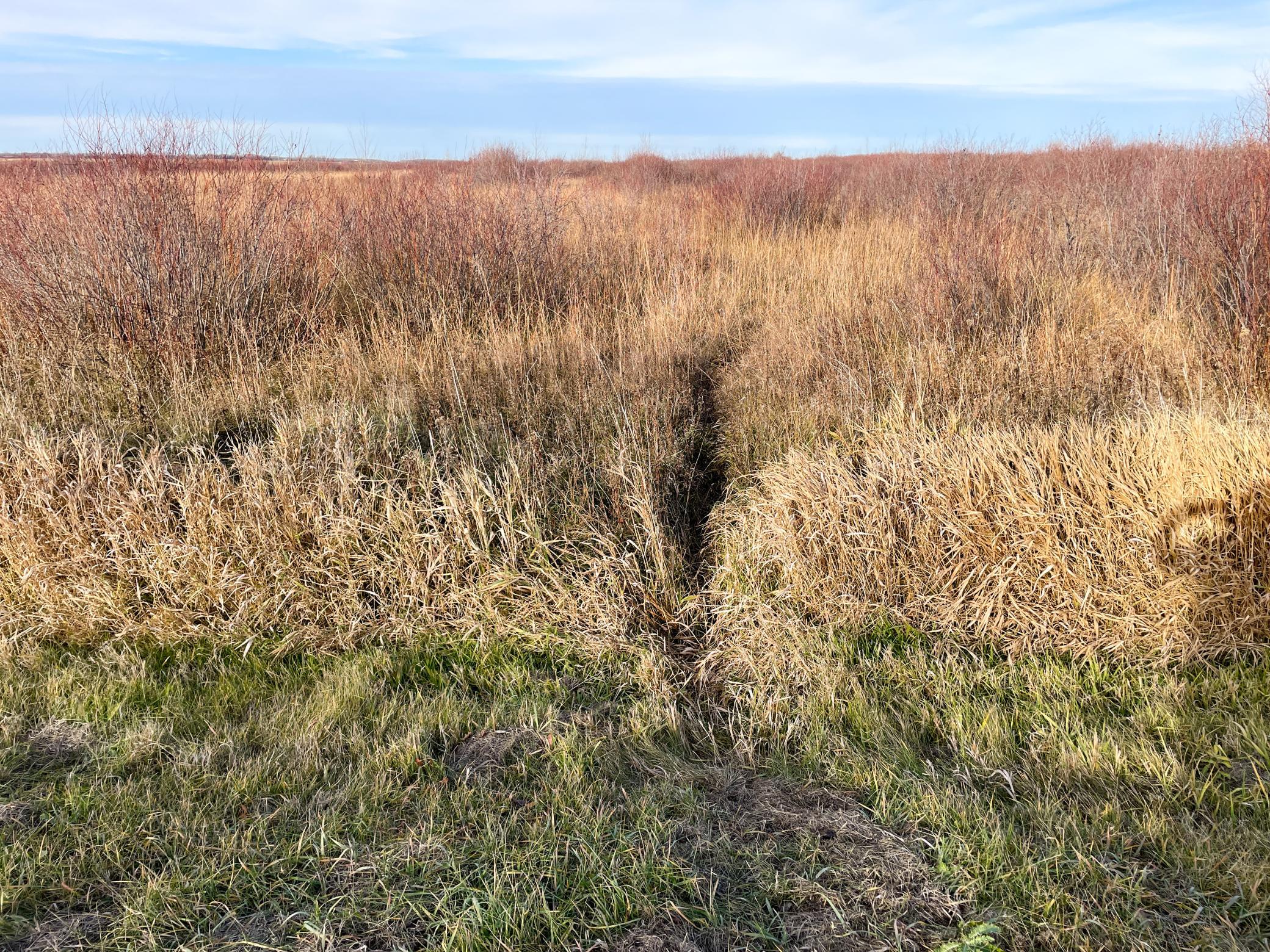 land for sale at TBD HWY 10 in Thief River Falls, MN (photo 56 of 62)