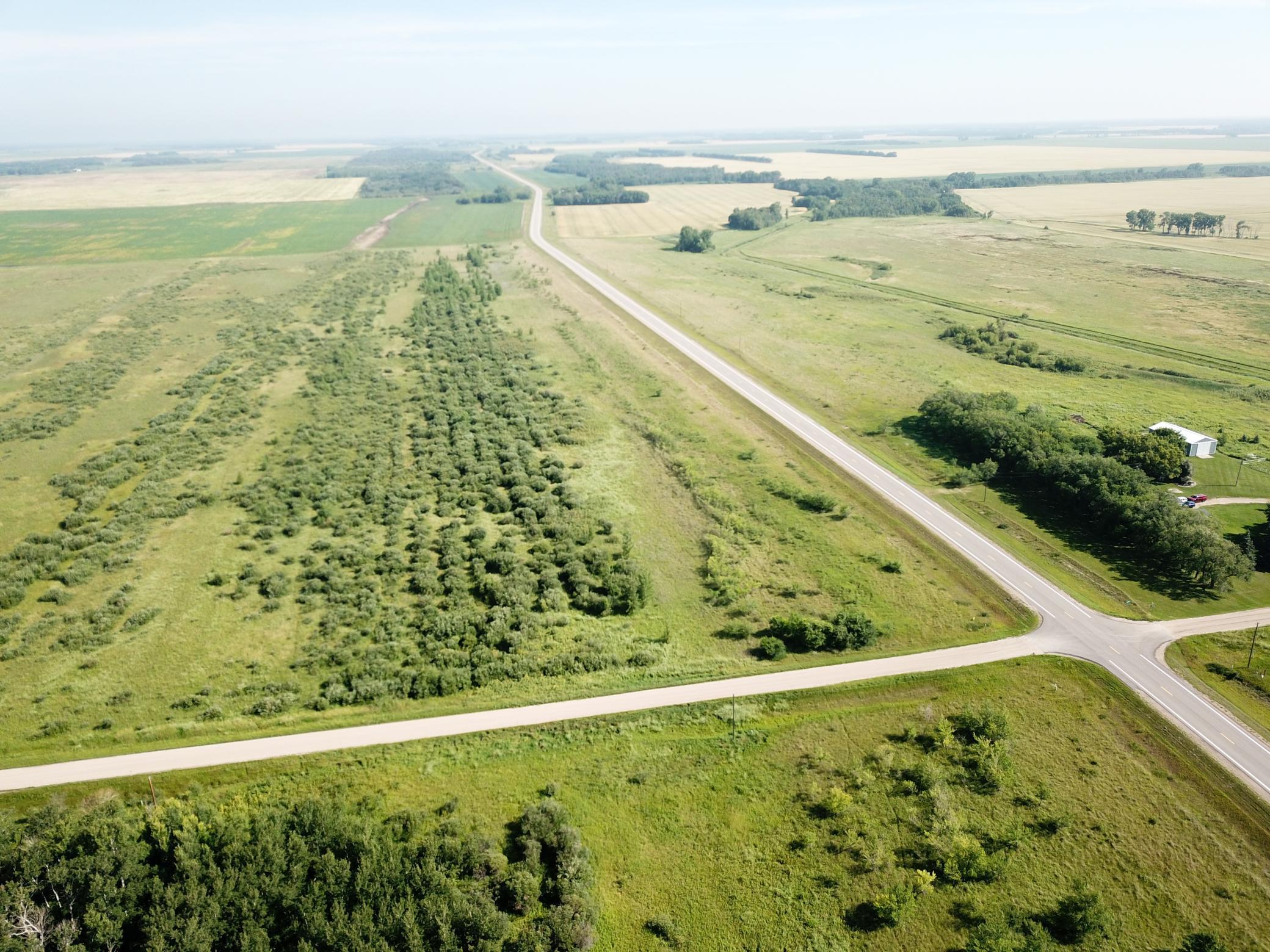 land for sale at TBD HWY 10 in Thief River Falls, MN (photo 9 of 62)