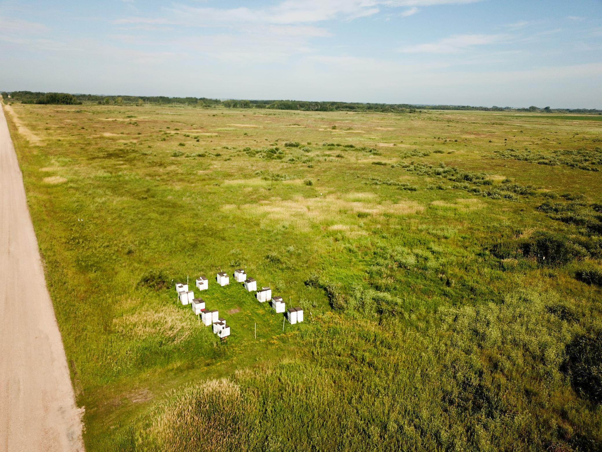 land for sale at TBD 150th Street NW in Thief River Falls, MN (photo 2 of 47)