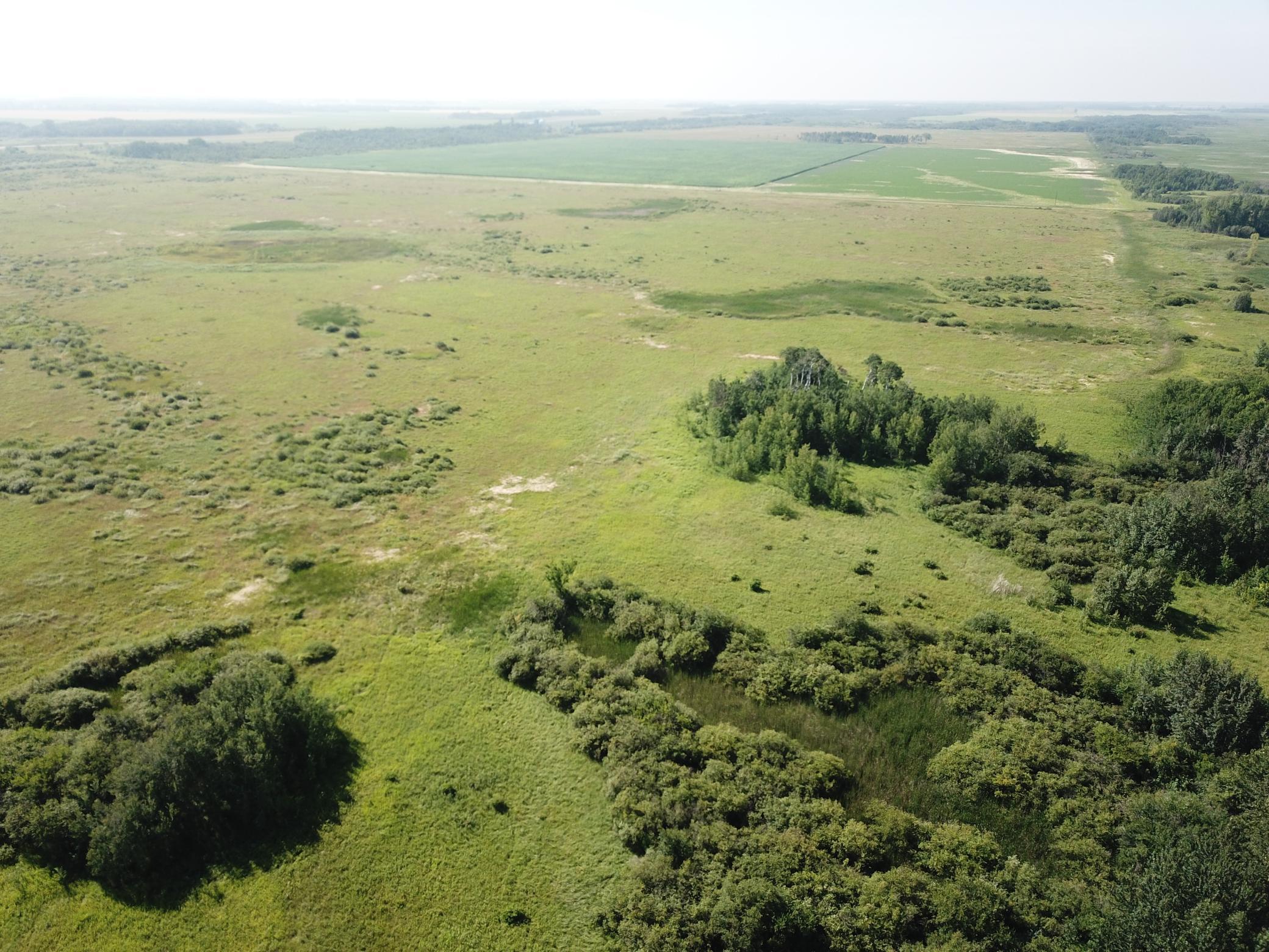 land for sale at TBD 150th Street NW in Thief River Falls, MN (photo 11 of 47)