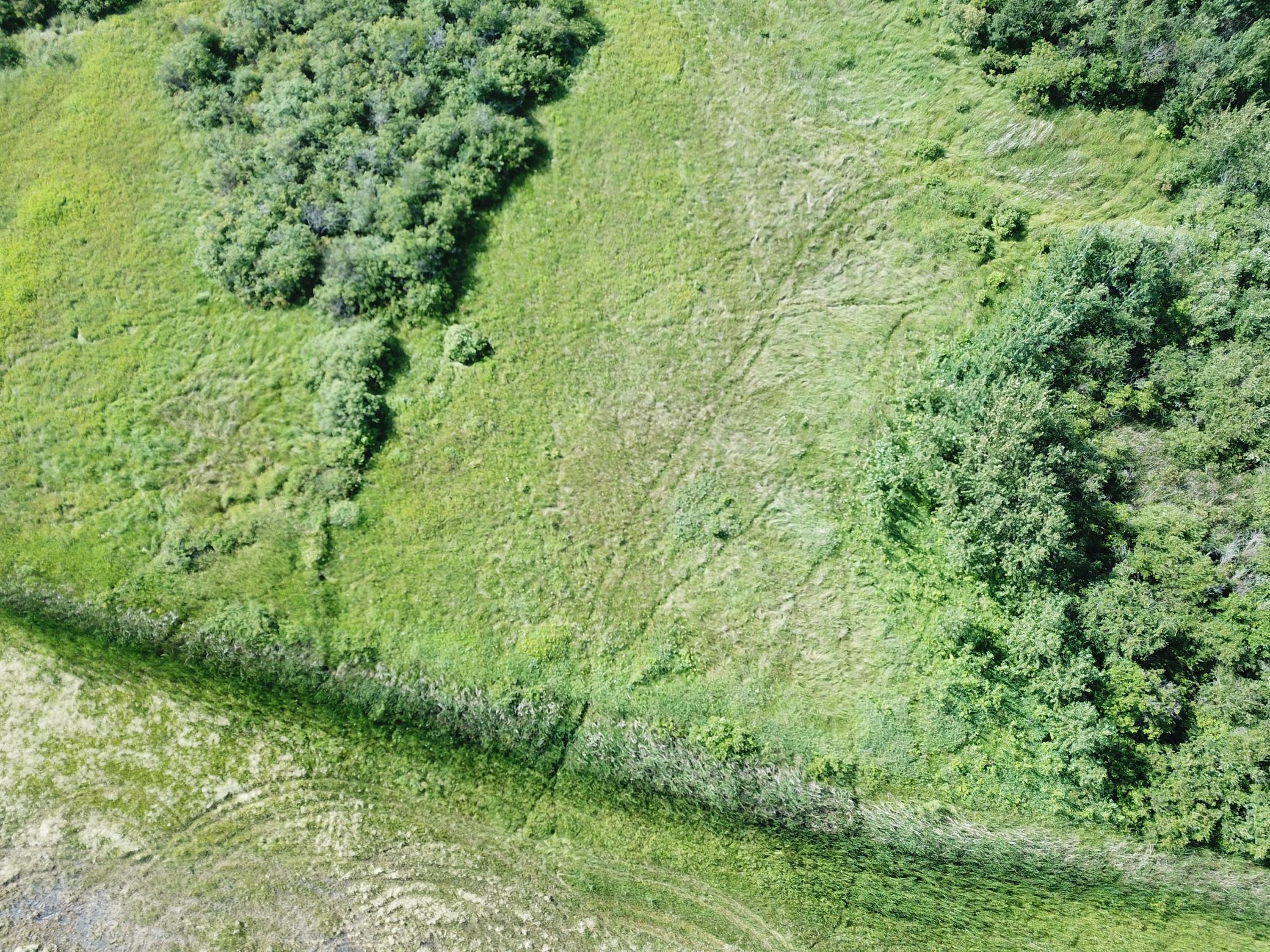 land for sale at TBD 150th Street NW in Thief River Falls, MN (photo 12 of 47)