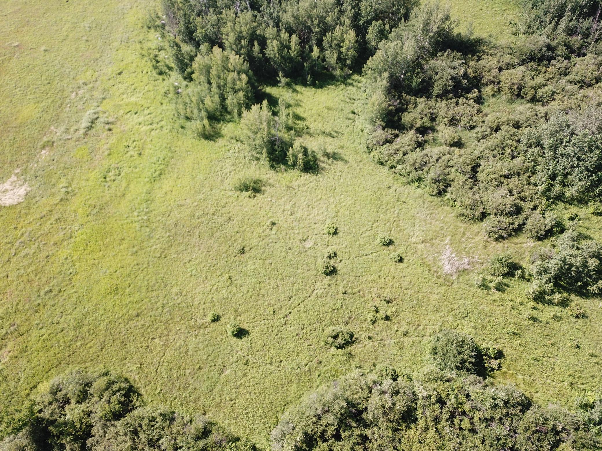 land for sale at TBD 150th Street NW in Thief River Falls, MN (photo 13 of 47)
