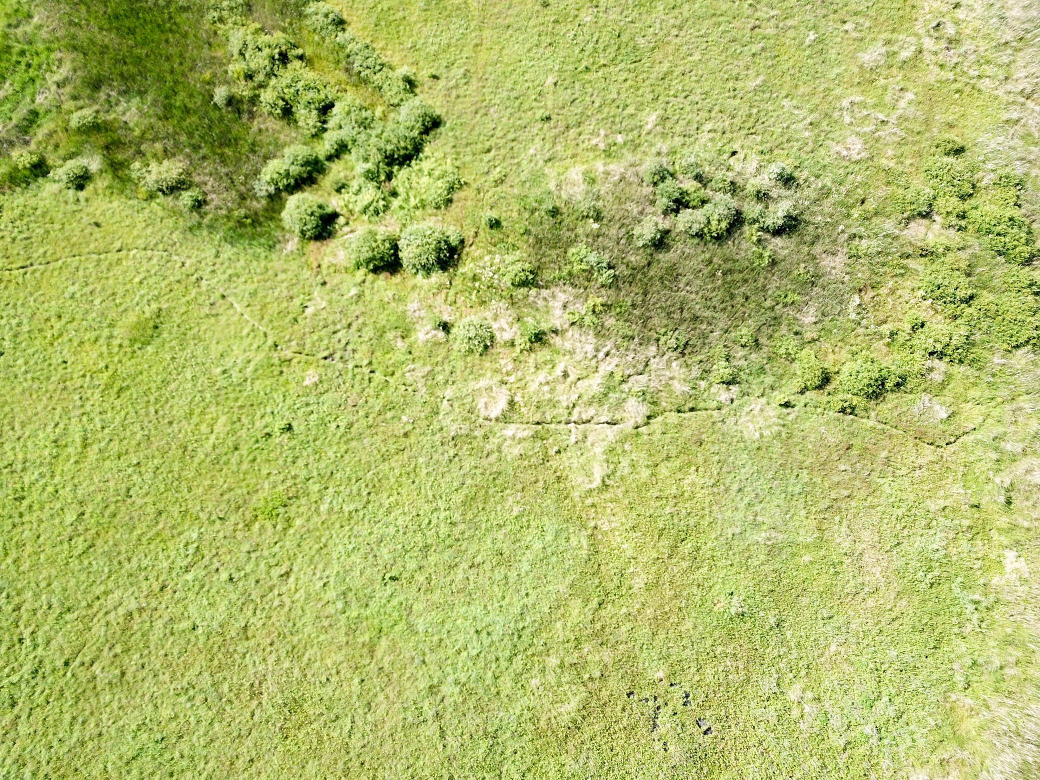 land for sale at TBD 150th Street NW in Thief River Falls, MN (photo 14 of 47)