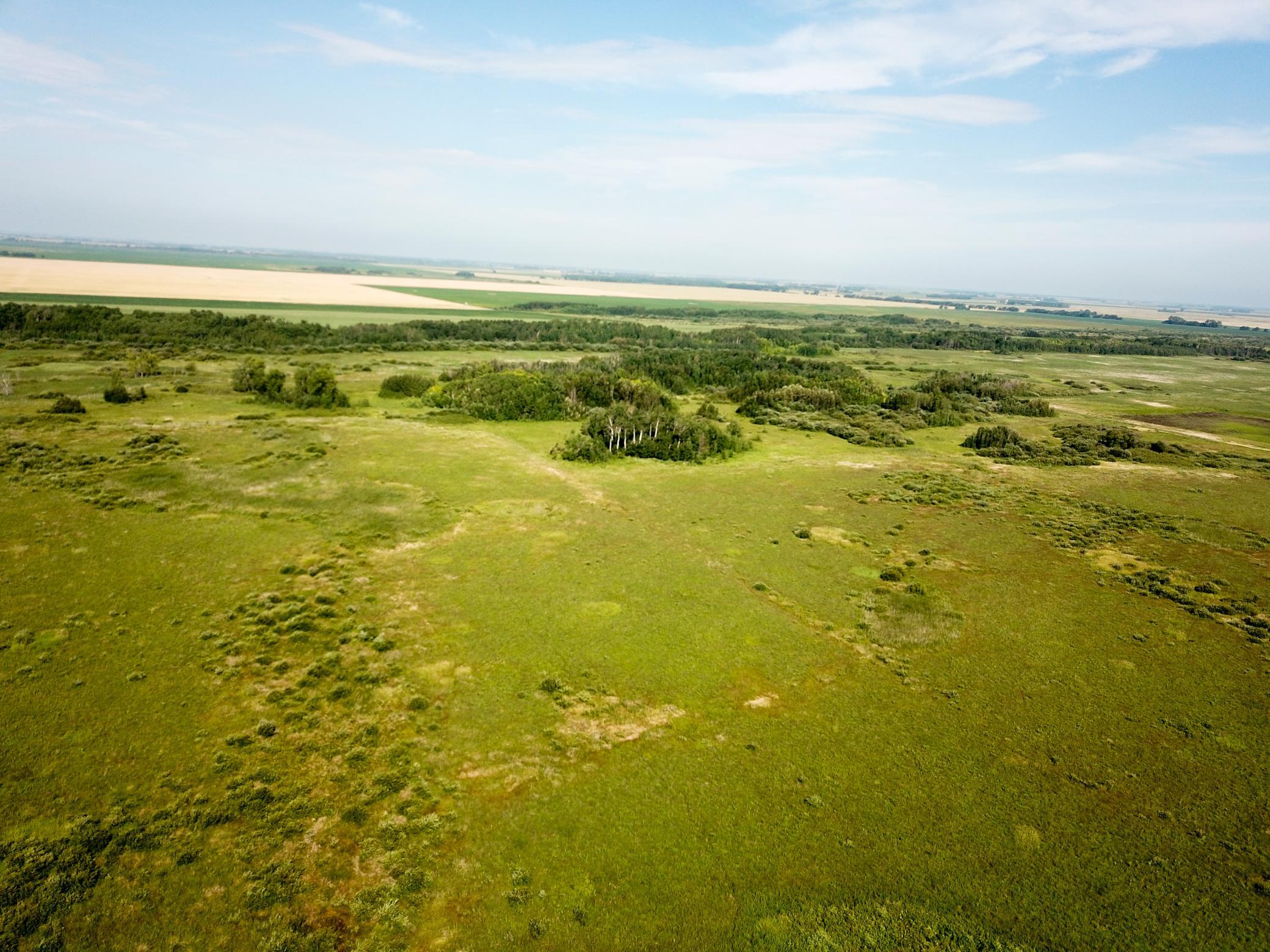land for sale at TBD 150th Street NW in Thief River Falls, MN (photo 15 of 47)