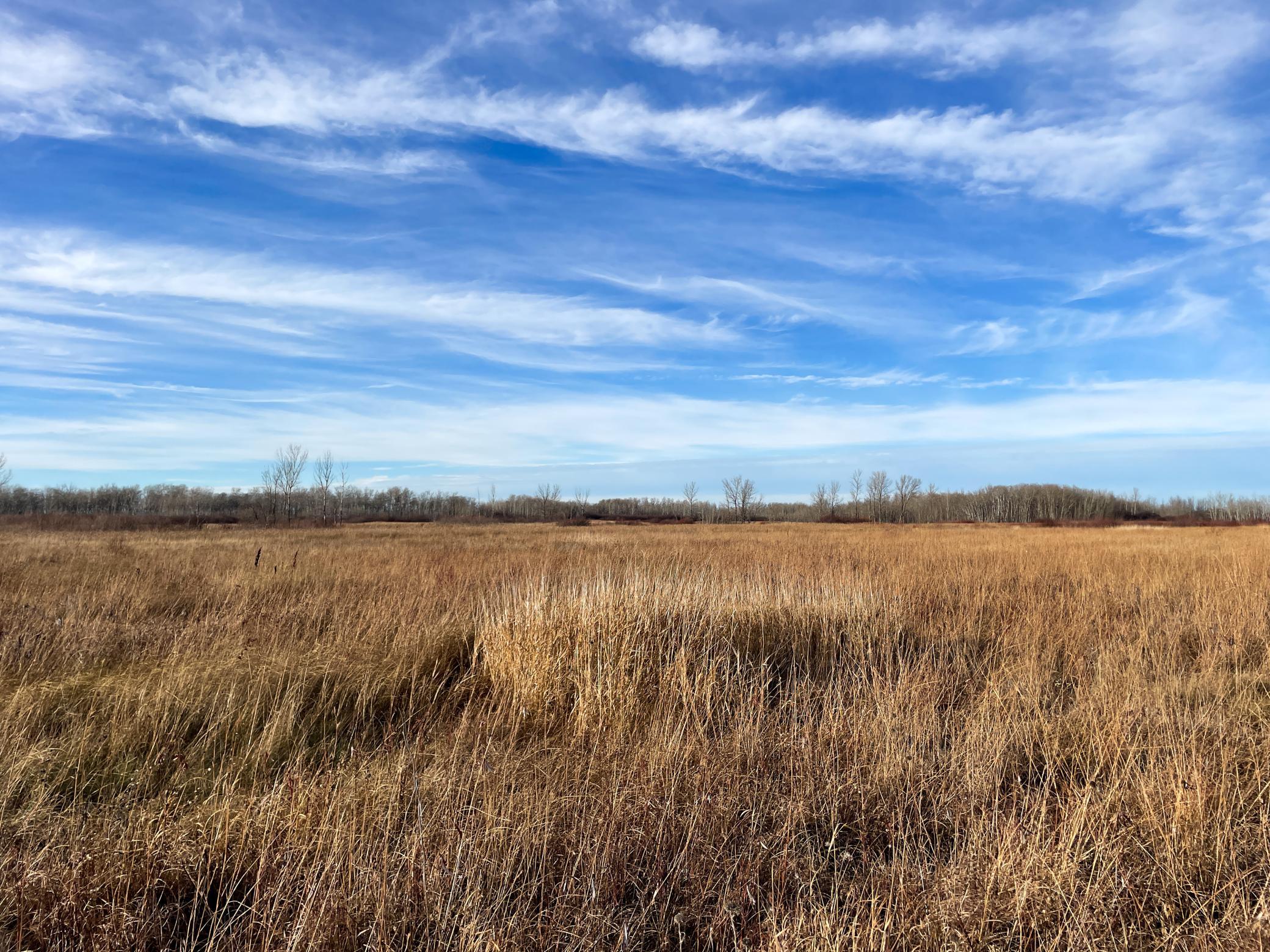 land for sale at TBD 150th Street NW in Thief River Falls, MN (photo 16 of 47)