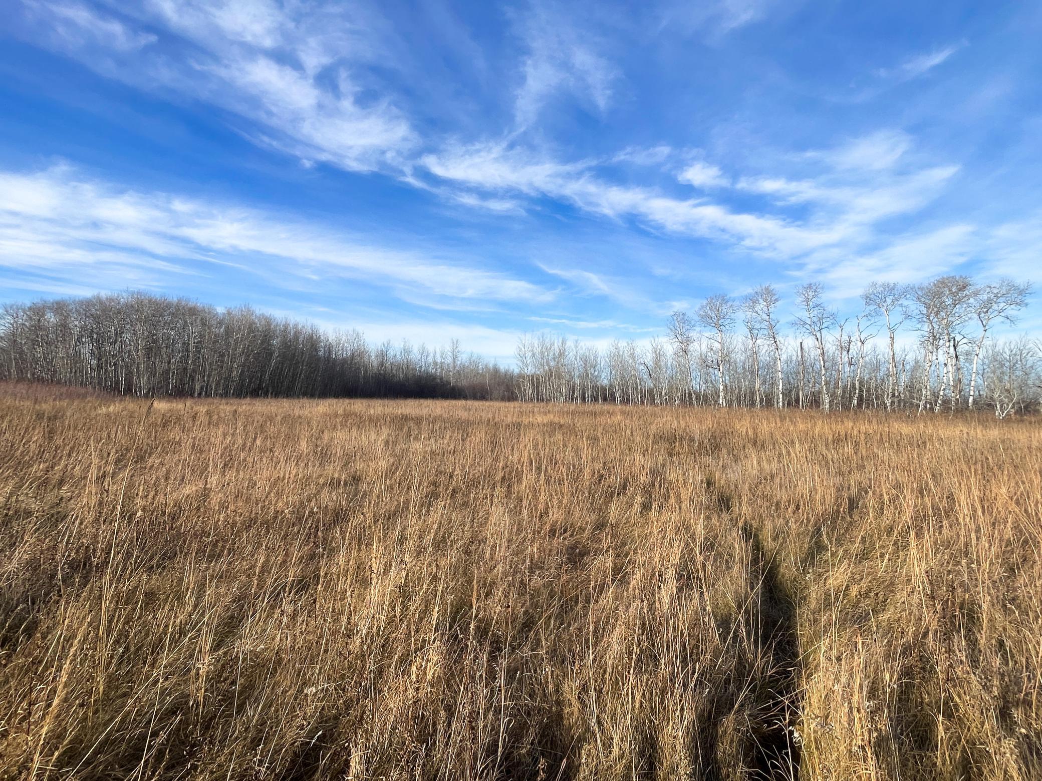 land for sale at TBD 150th Street NW in Thief River Falls, MN (photo 17 of 47)