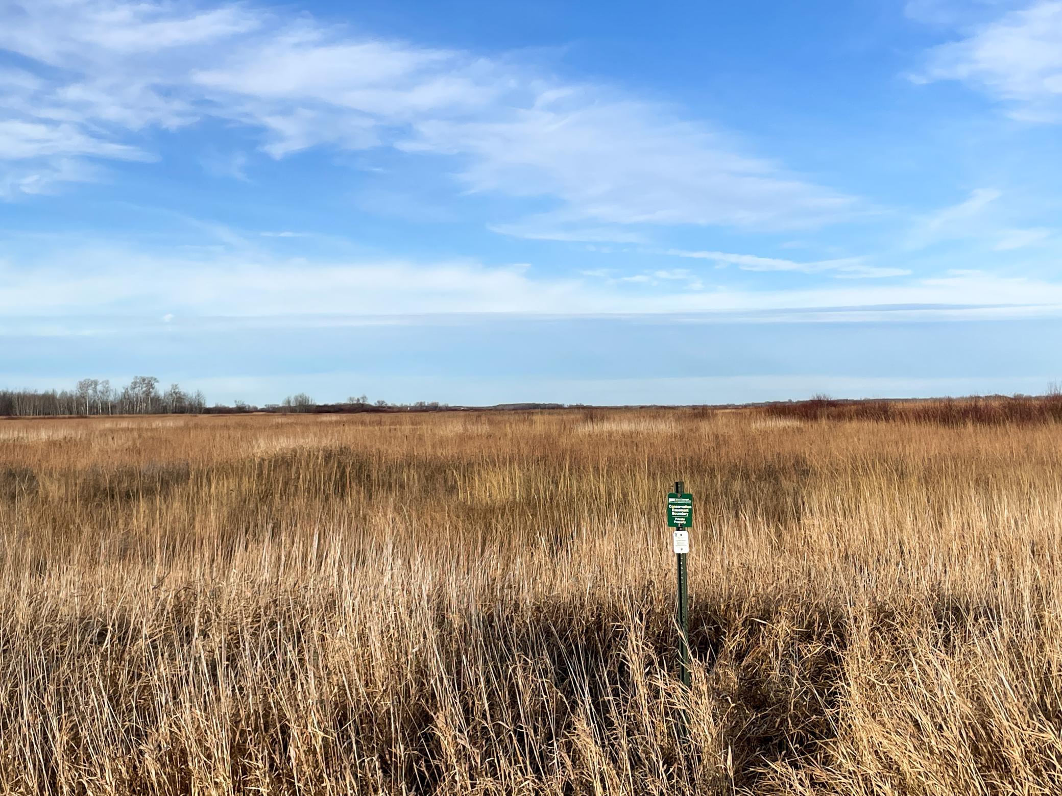 land for sale at TBD 150th Street NW in Thief River Falls, MN (photo 19 of 47)