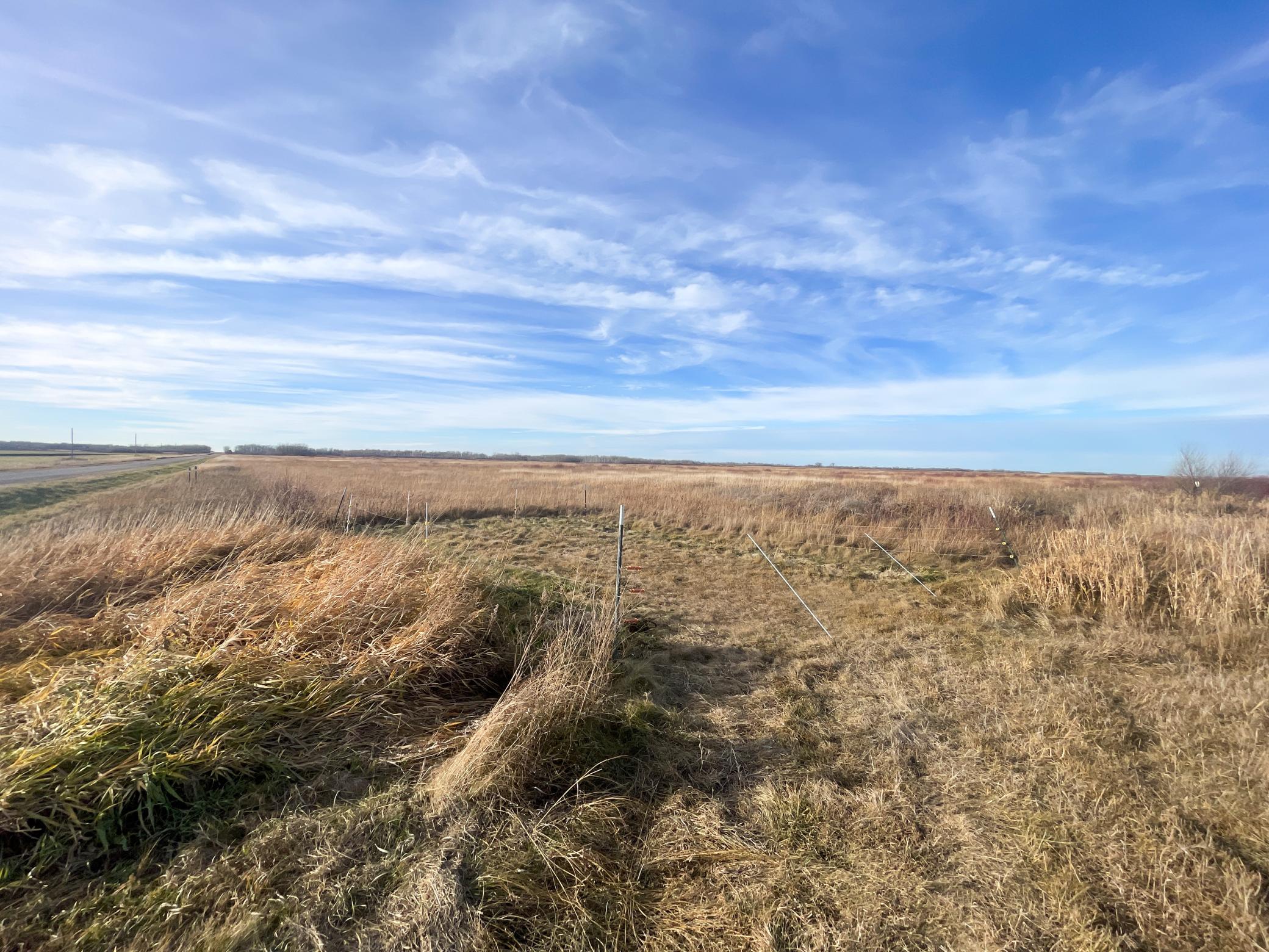 land for sale at TBD 150th Street NW in Thief River Falls, MN (photo 20 of 47)