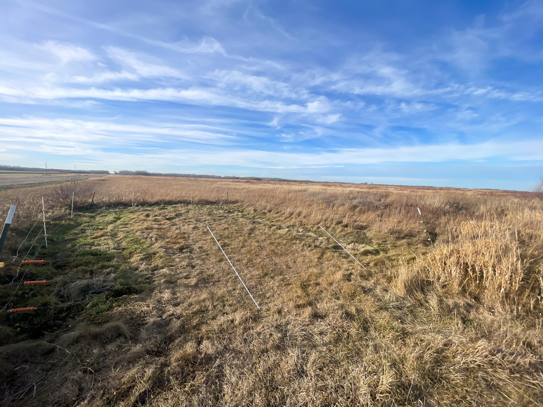 land for sale at TBD 150th Street NW in Thief River Falls, MN (photo 21 of 47)