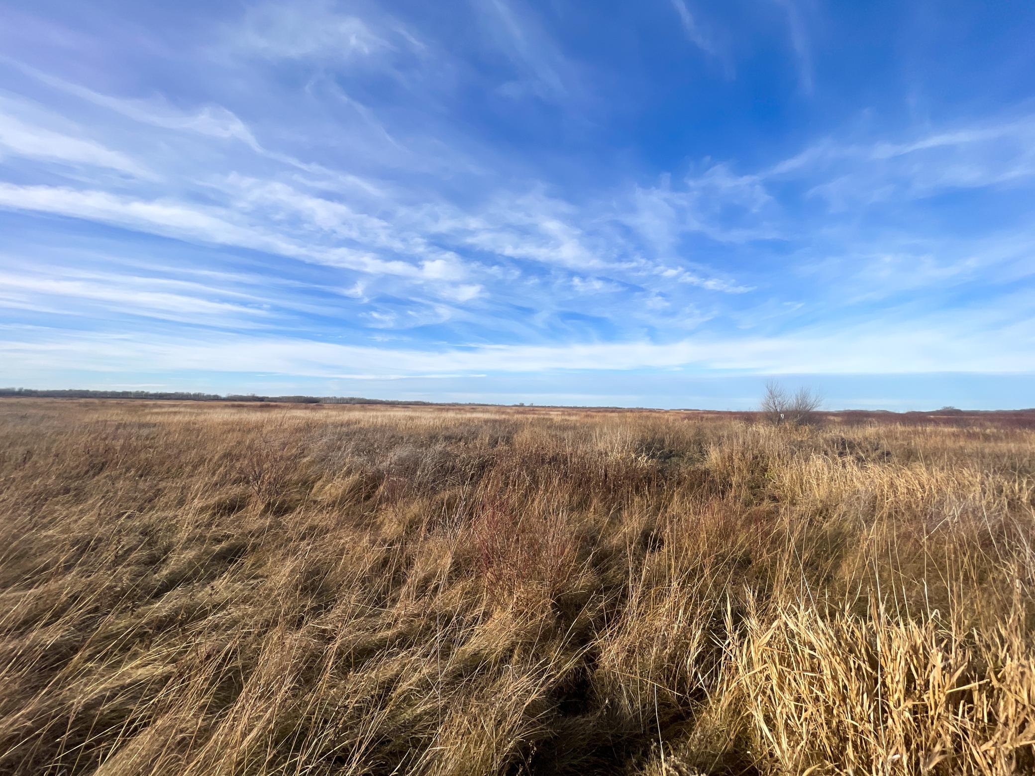land for sale at TBD 150th Street NW in Thief River Falls, MN (photo 22 of 47)