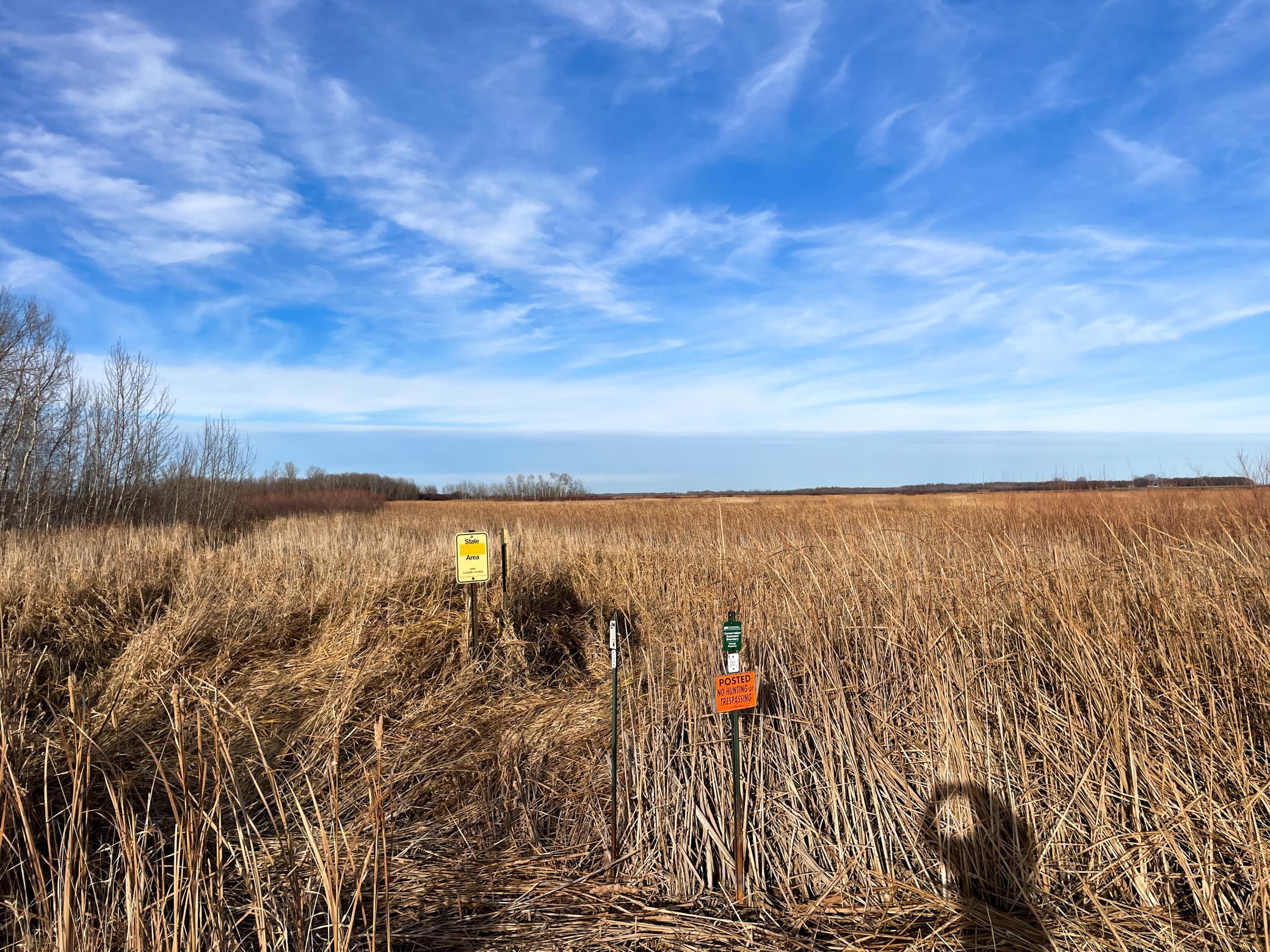 land for sale at TBD 150th Street NW in Thief River Falls, MN (photo 23 of 47)