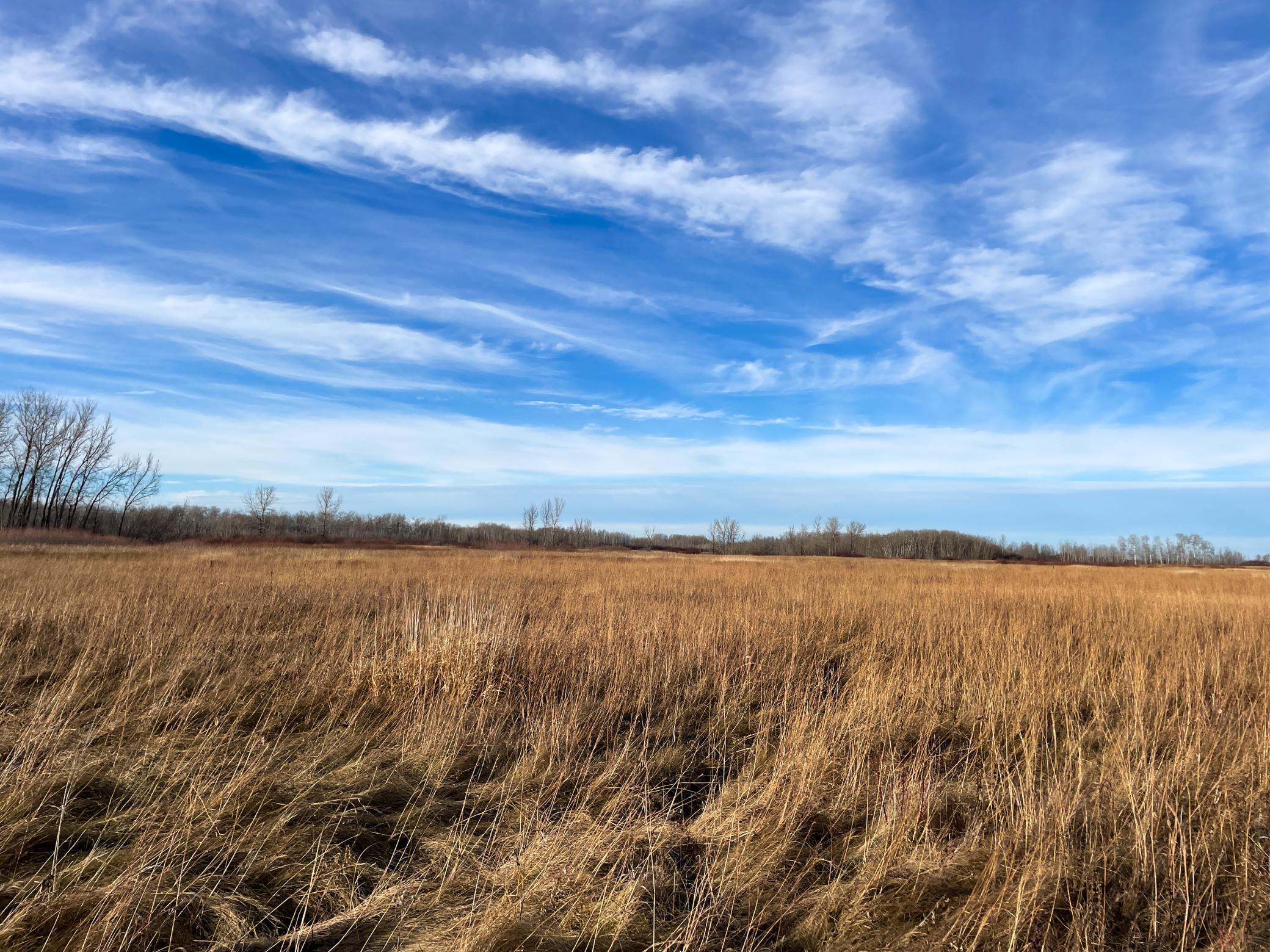land for sale at TBD 150th Street NW in Thief River Falls, MN (photo 24 of 47)