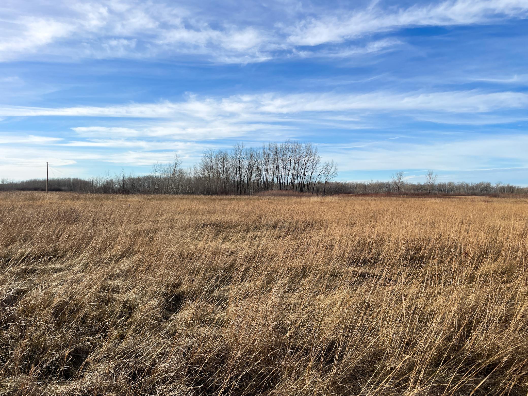 land for sale at TBD 150th Street NW in Thief River Falls, MN (photo 25 of 47)