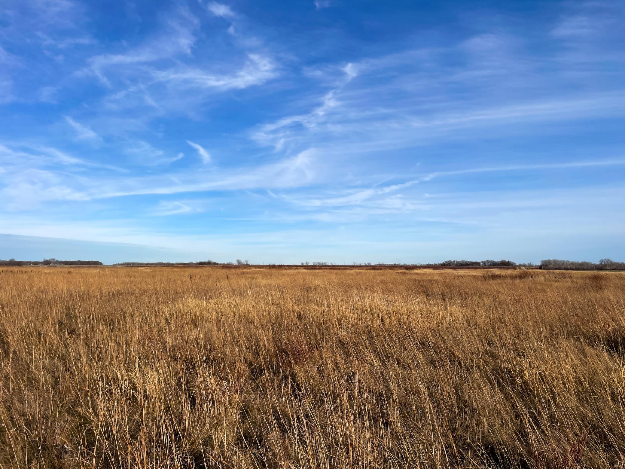 land for sale at TBD 150th Street NW in Thief River Falls, MN (photo 26 of 47)