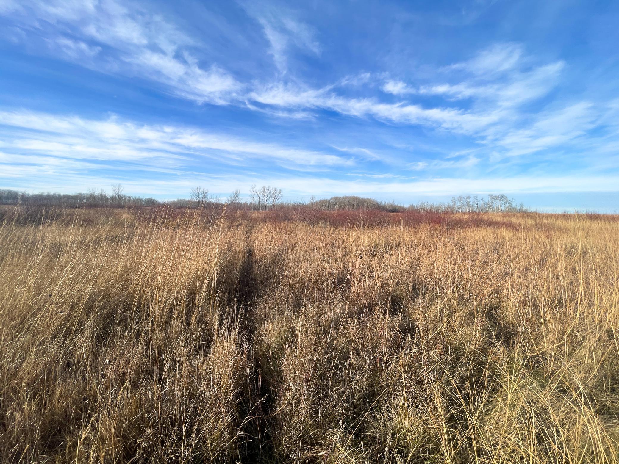 land for sale at TBD 150th Street NW in Thief River Falls, MN (photo 27 of 47)