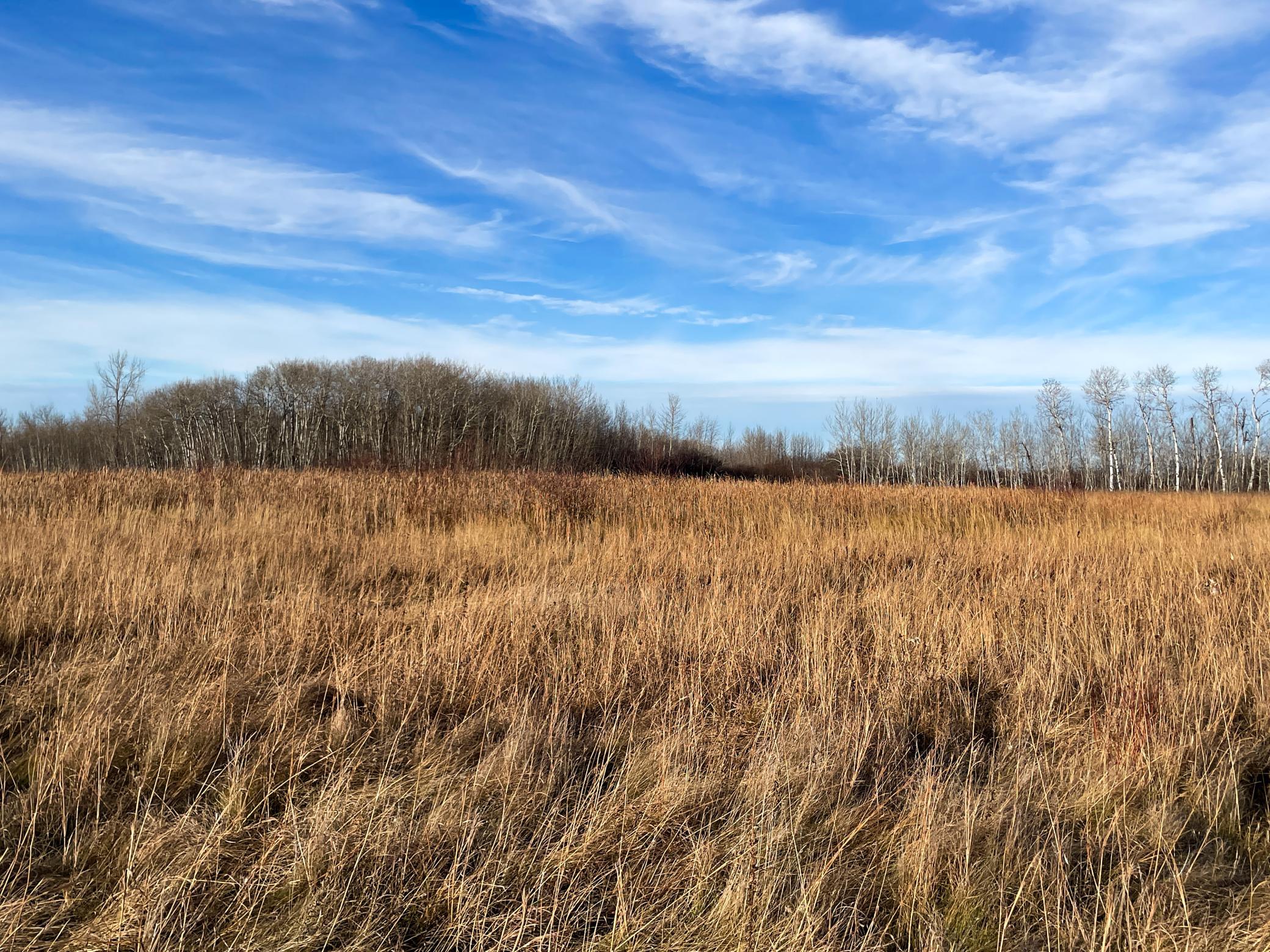 land for sale at TBD 150th Street NW in Thief River Falls, MN (photo 28 of 47)