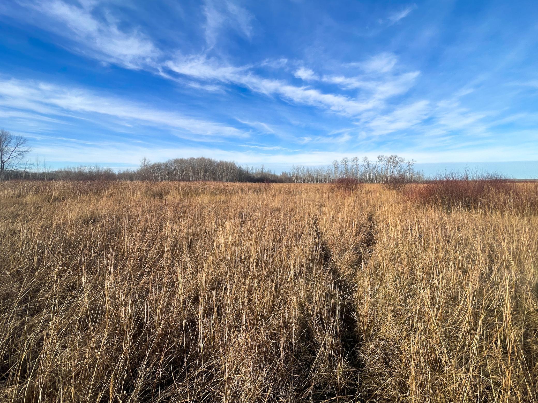 land for sale at TBD 150th Street NW in Thief River Falls, MN (photo 29 of 47)